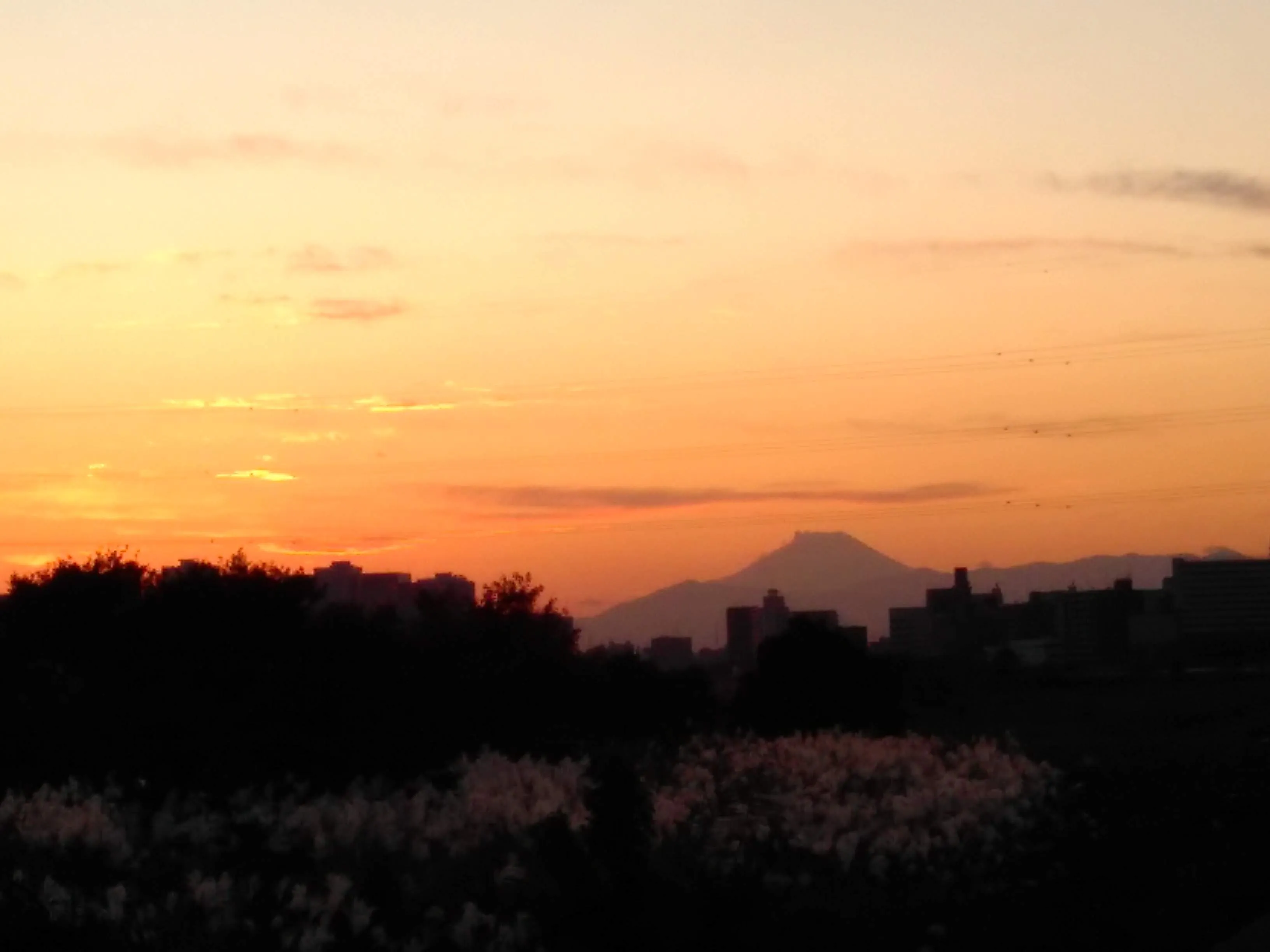Beloved Fuji