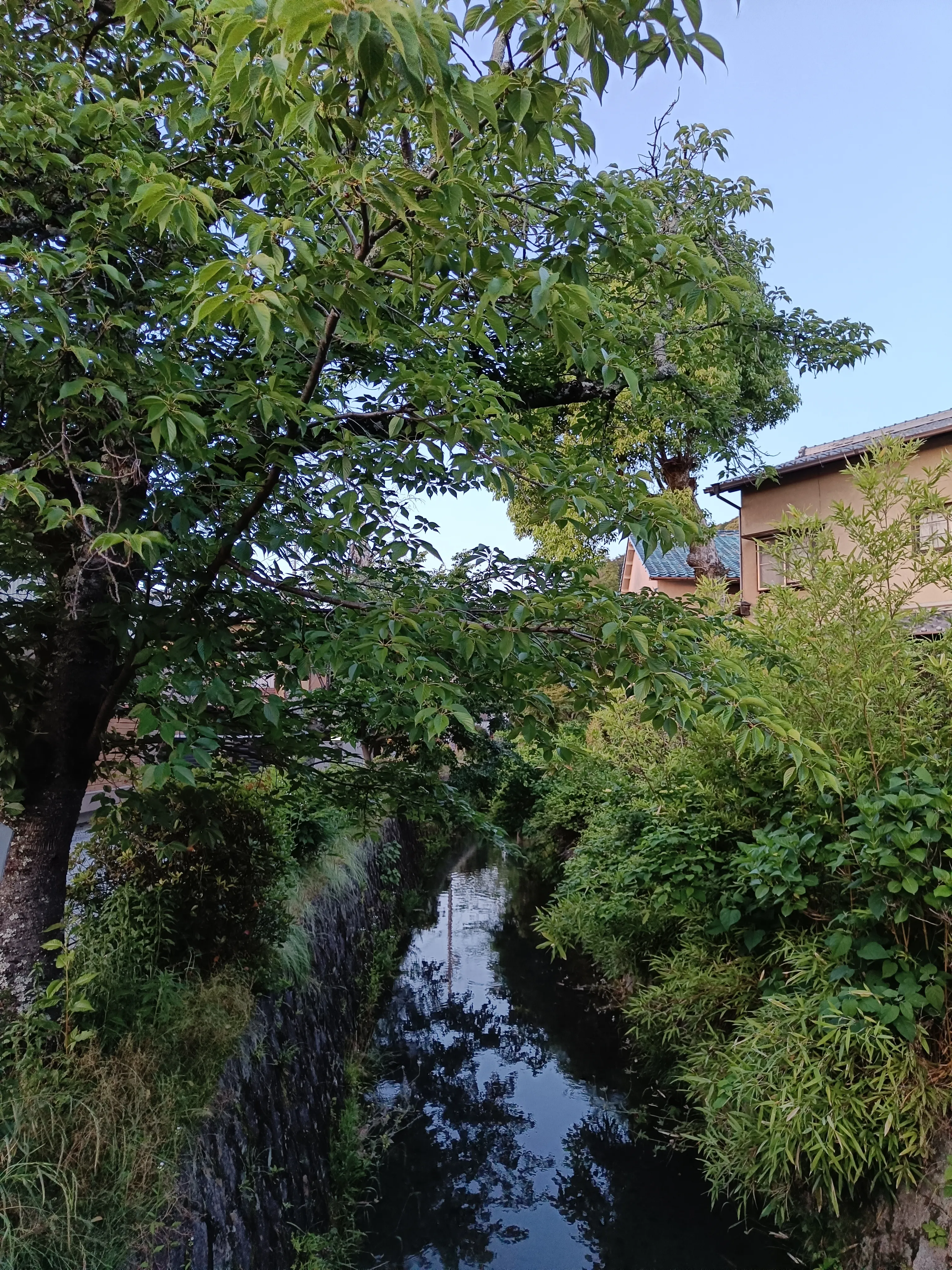 Canal
