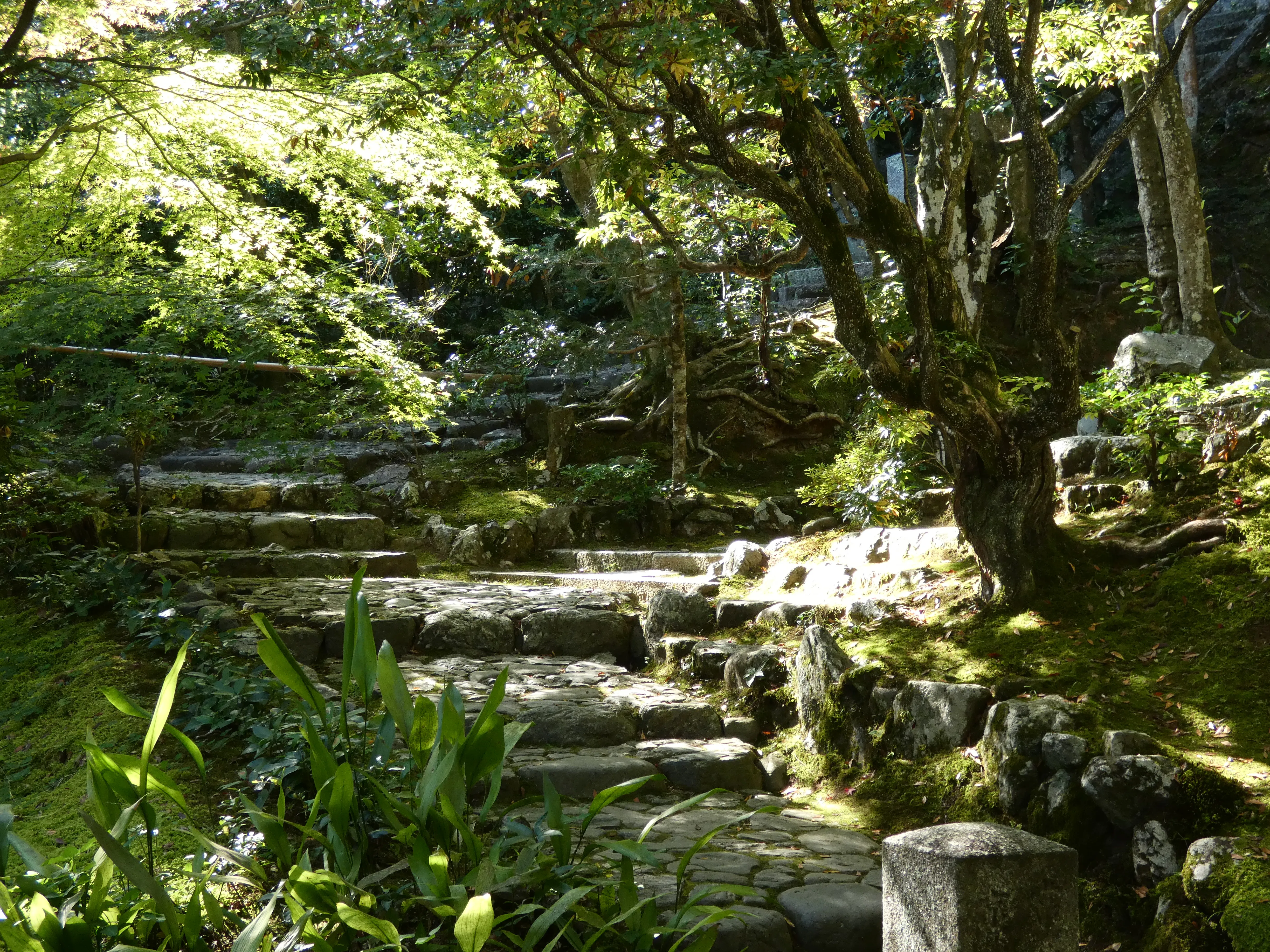 Beautiful garden