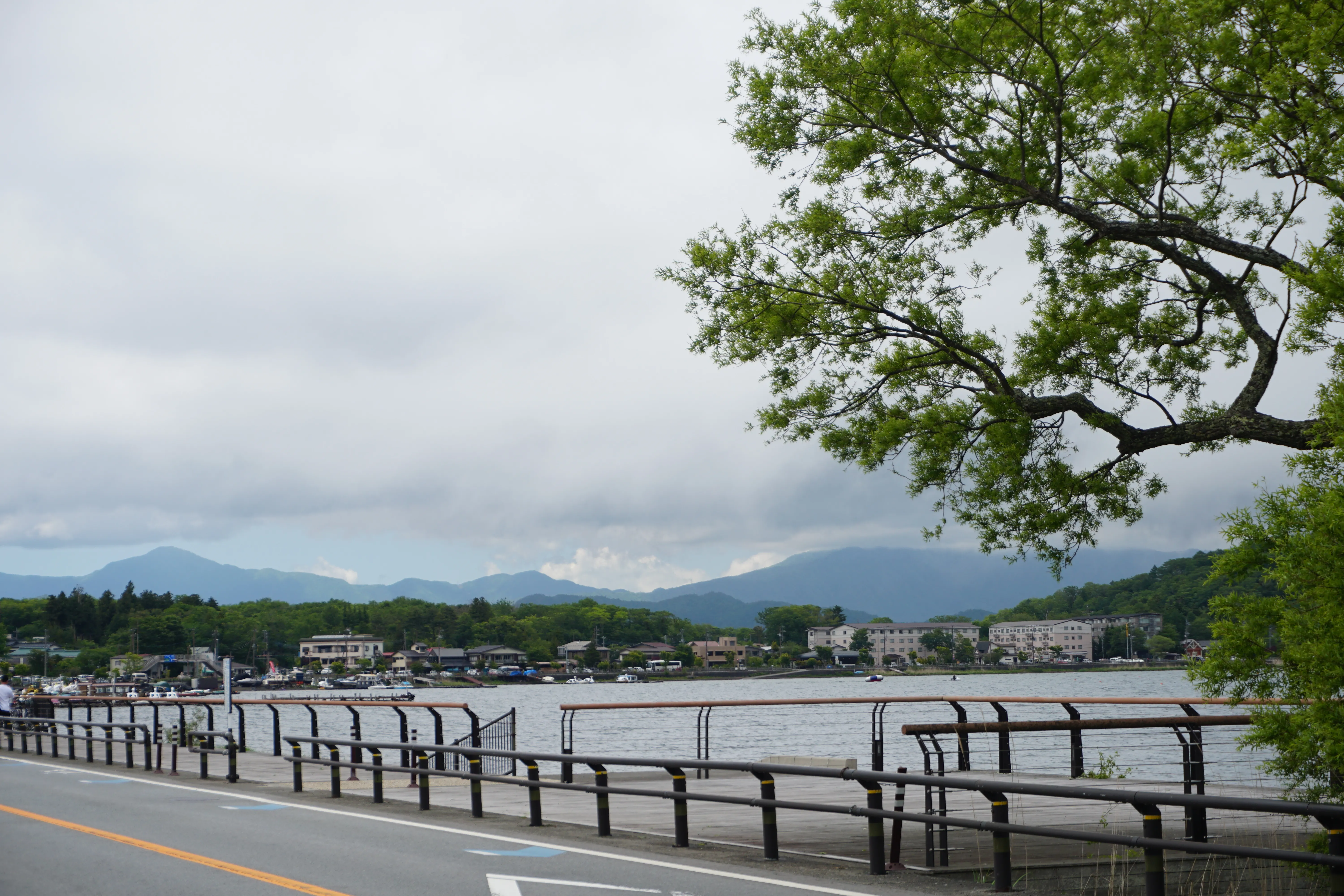 Lake view