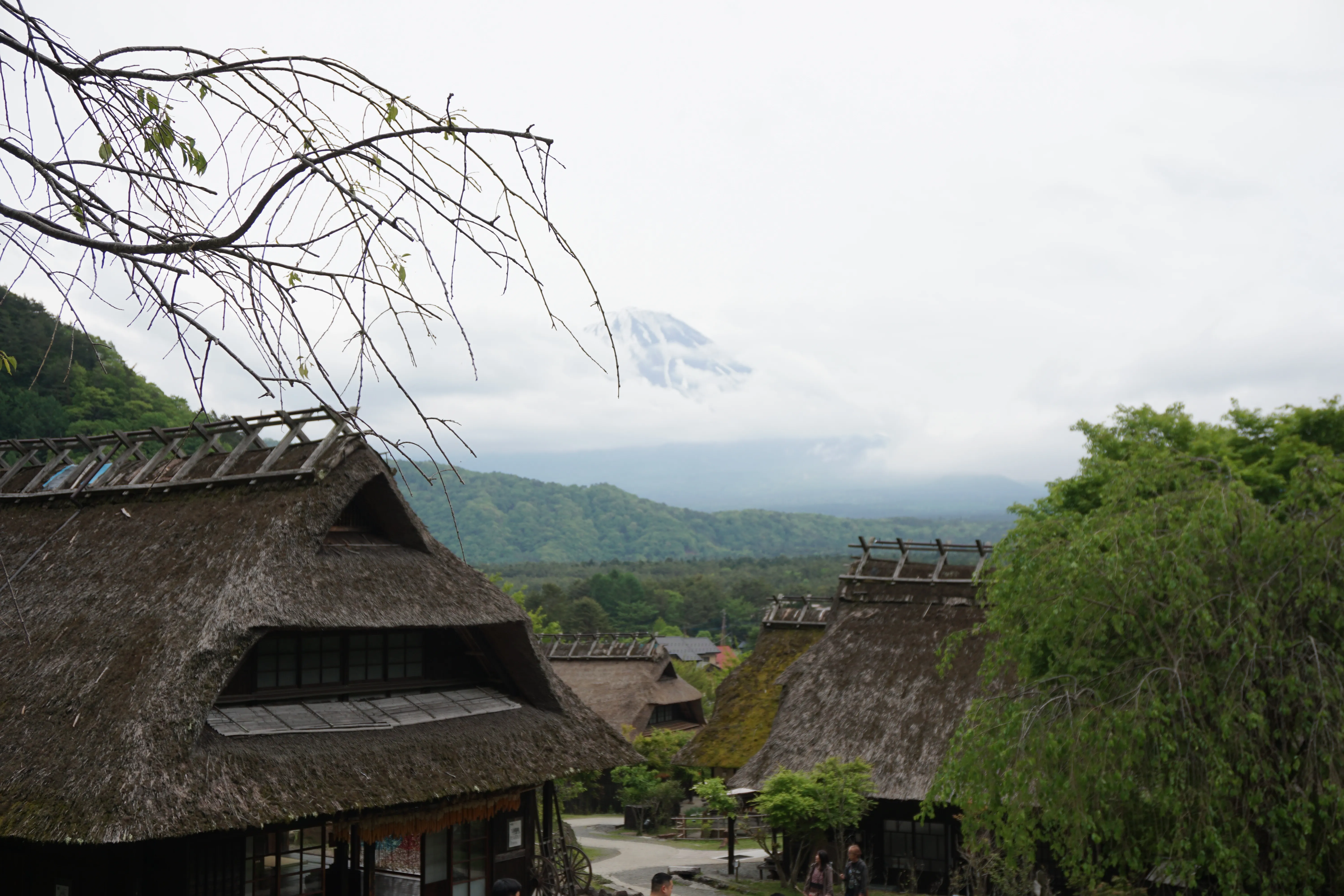 Nenba view at Fuji