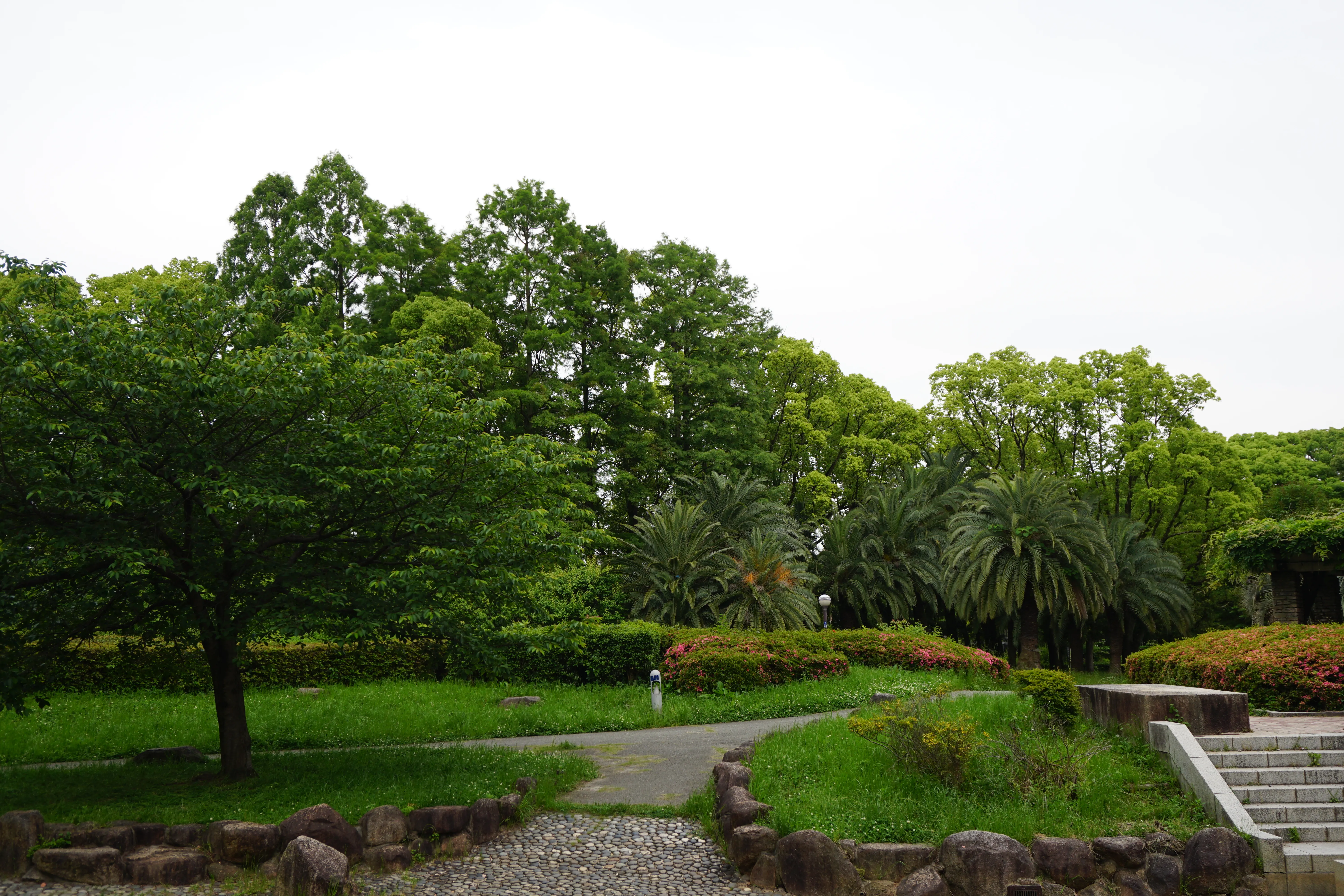 Park