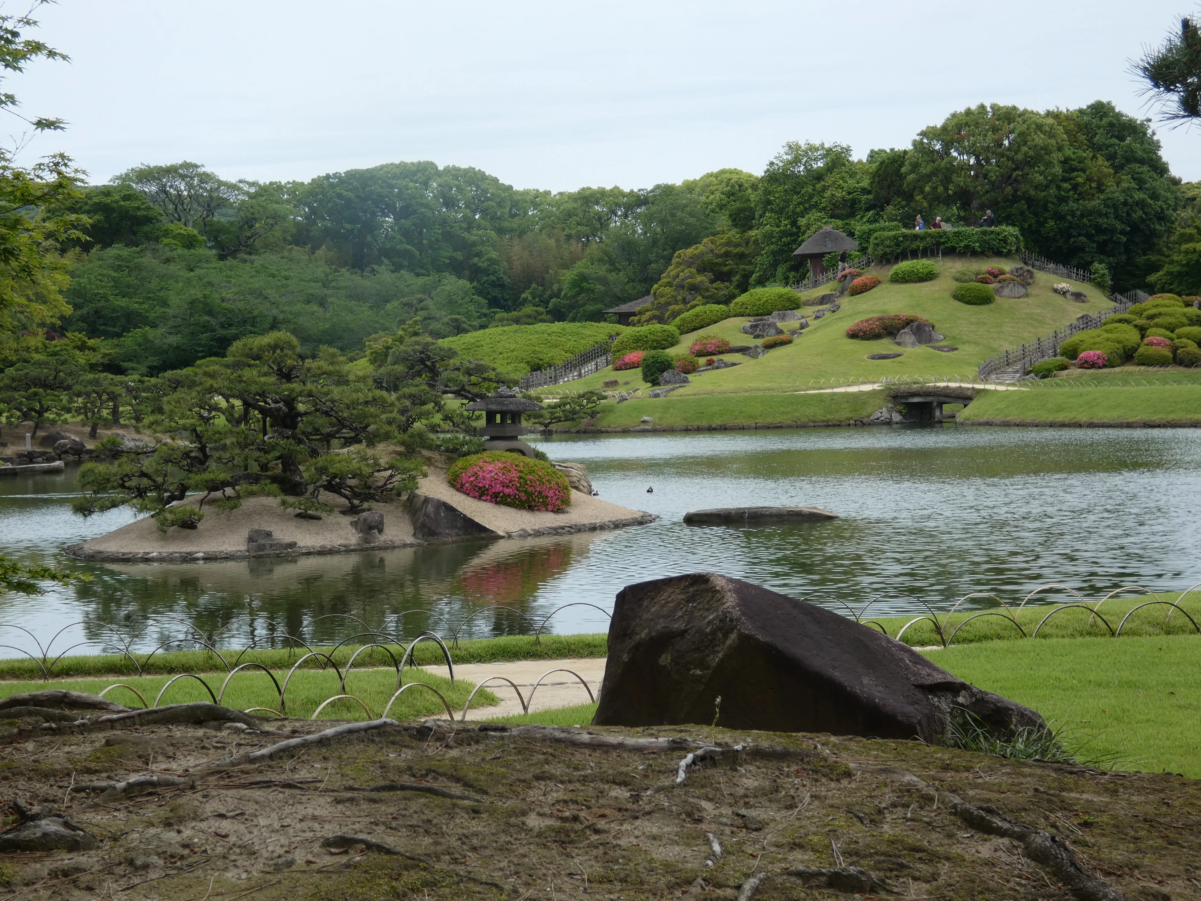 Pond
