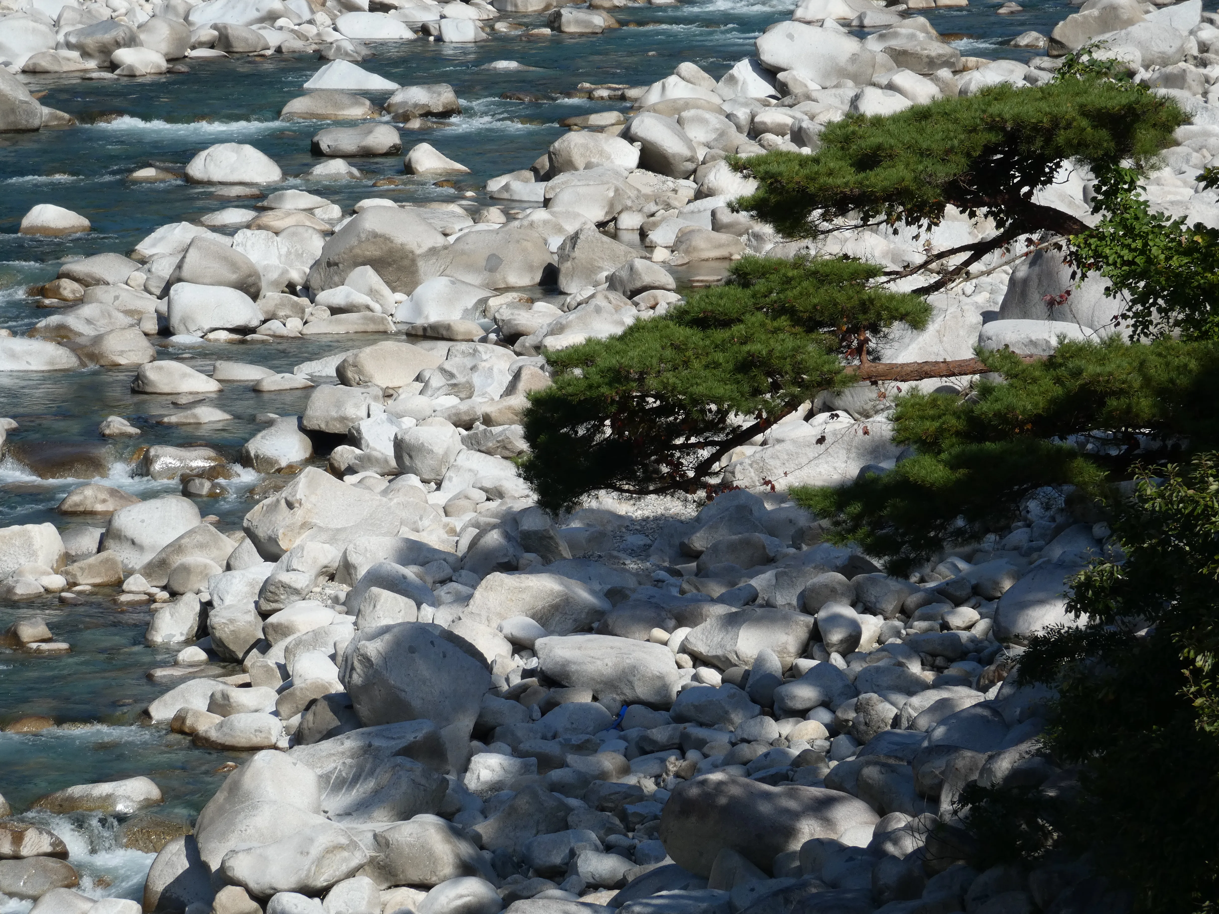 Kiso River