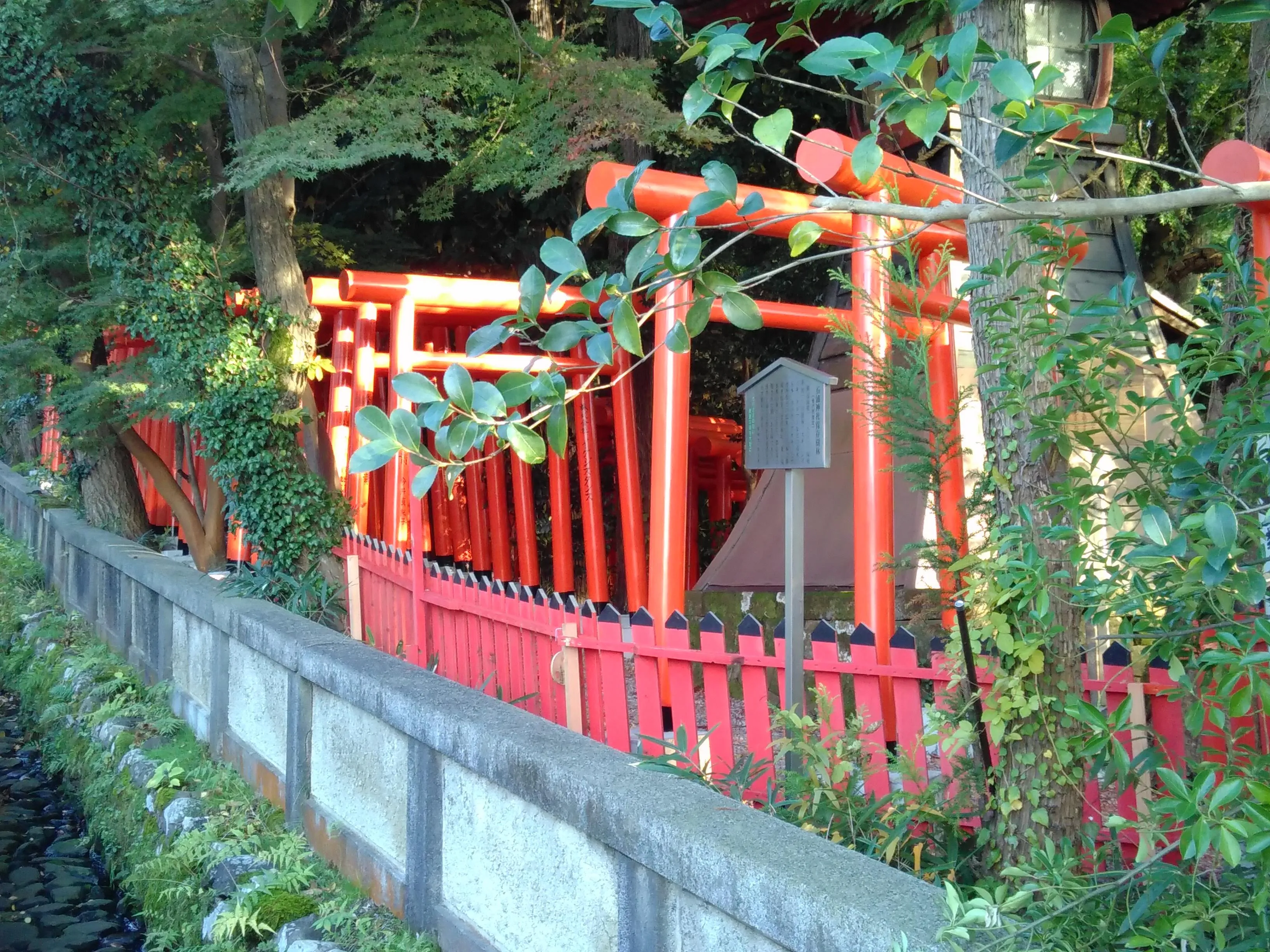 Little kyōto