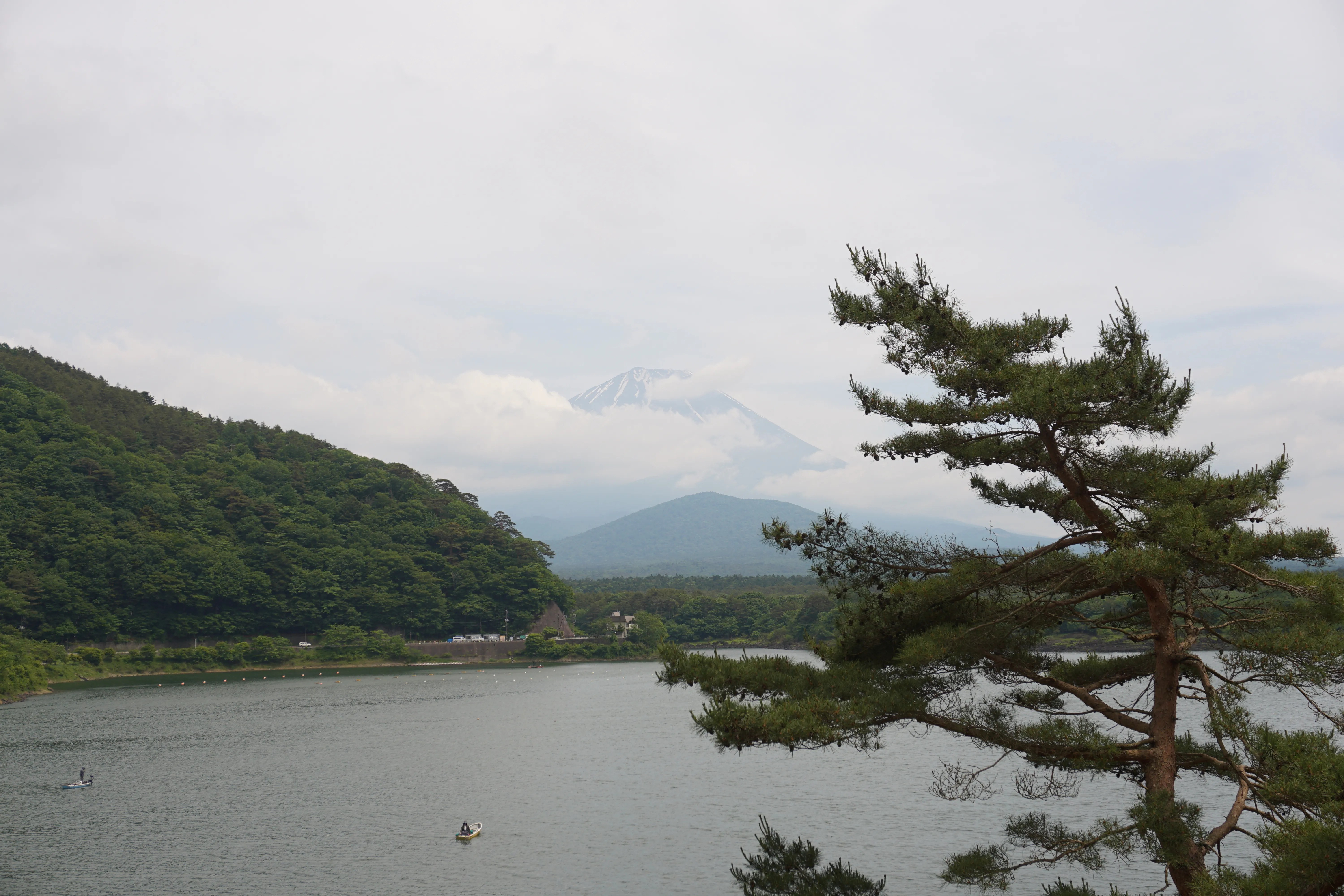 Shojiko