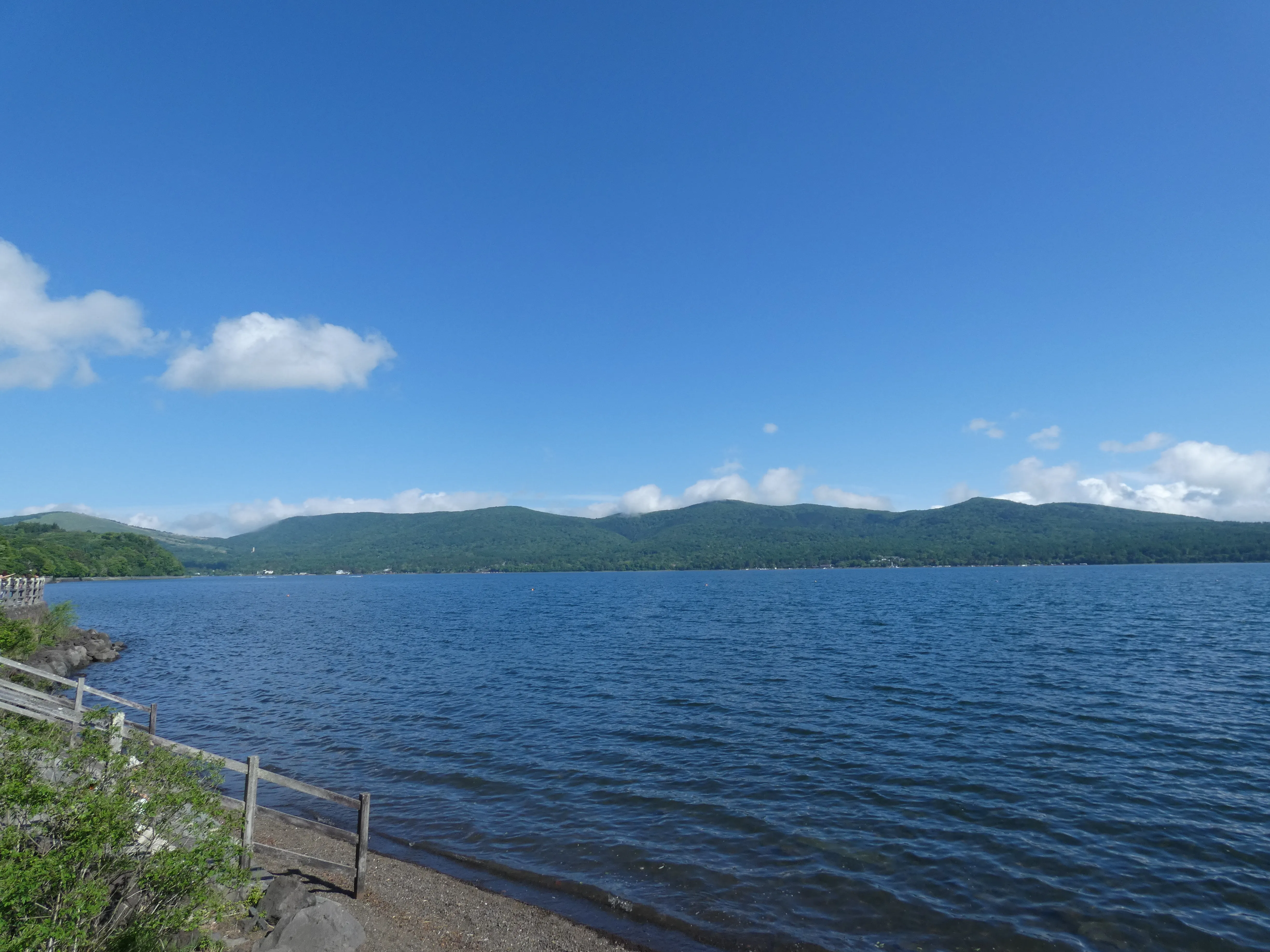 Sunny lake view