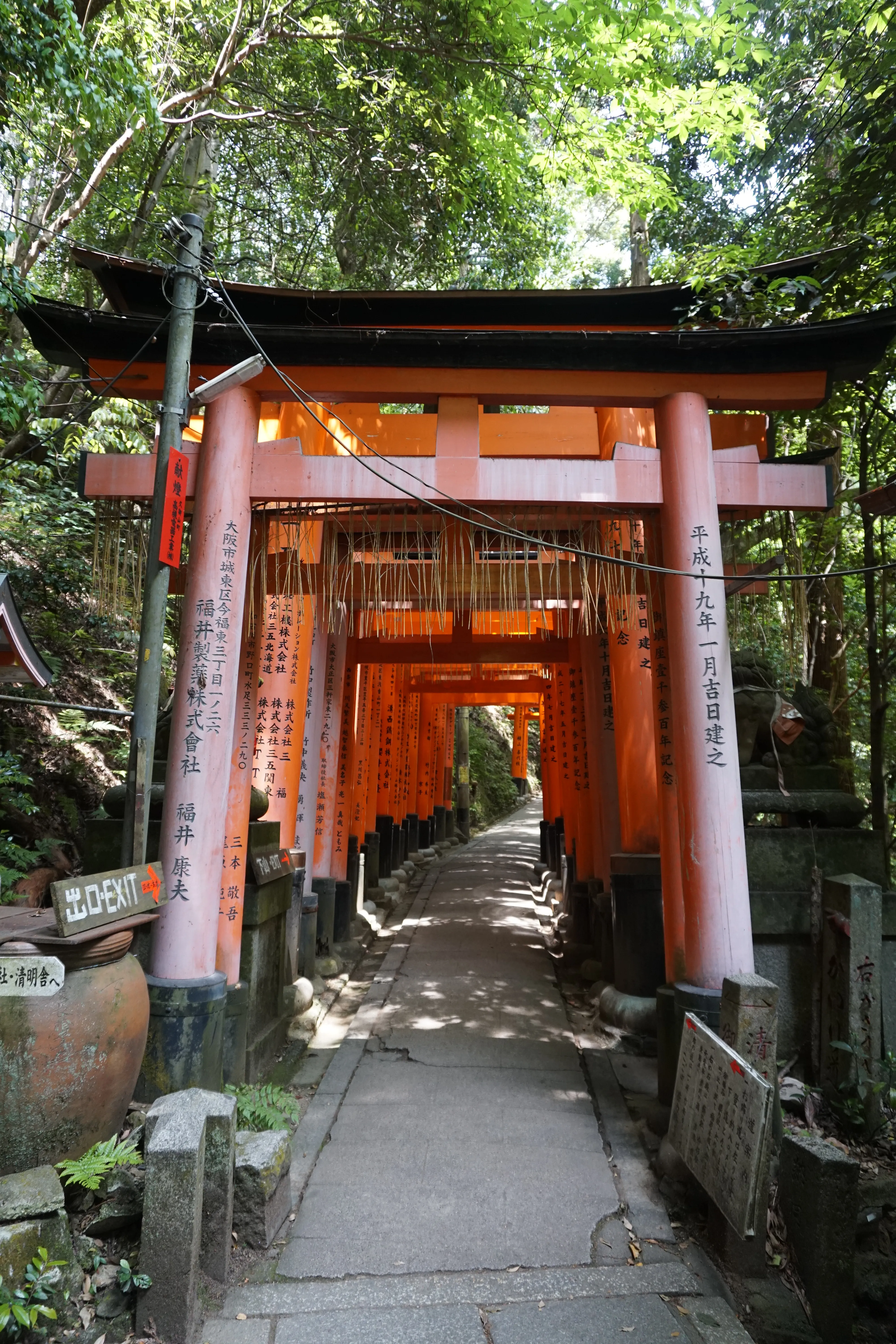 Torii