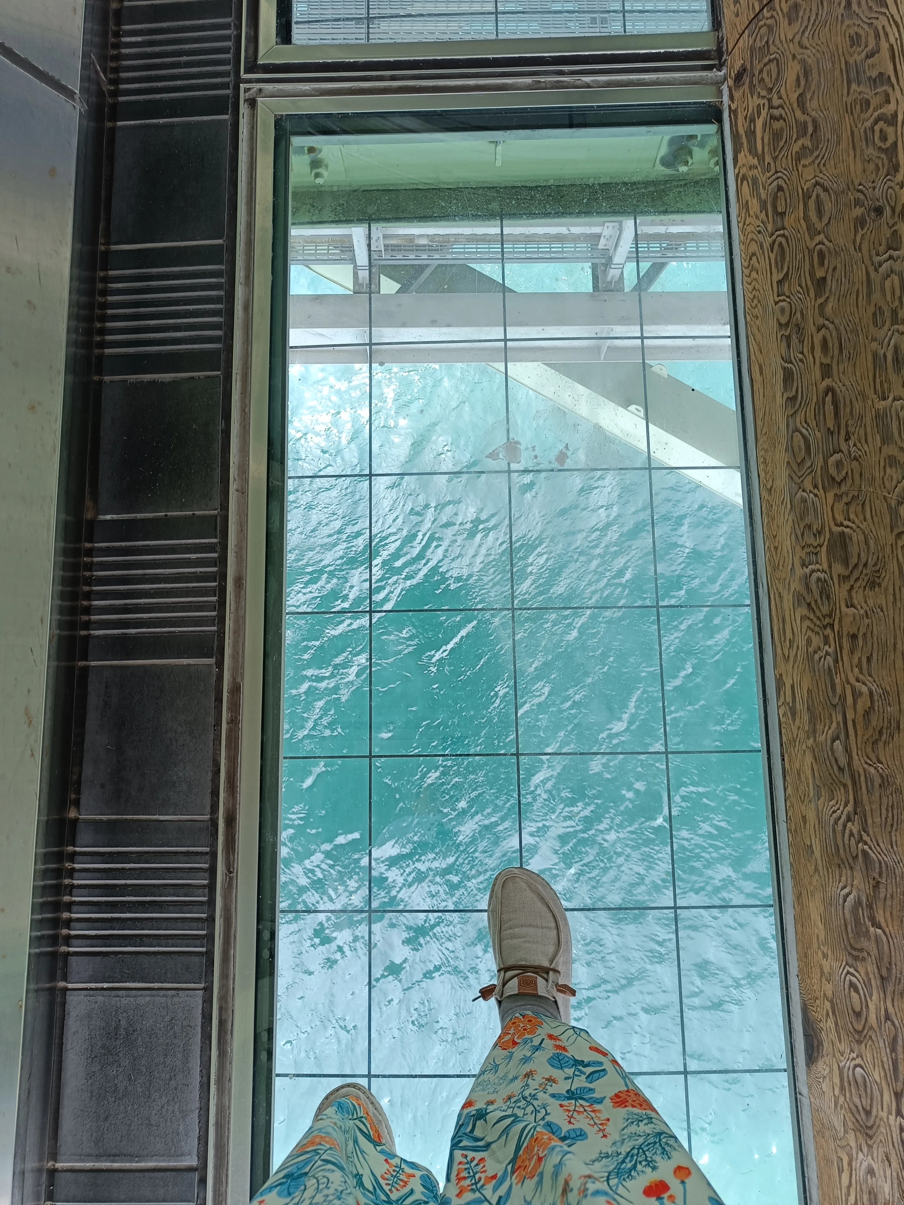 Transparent platform