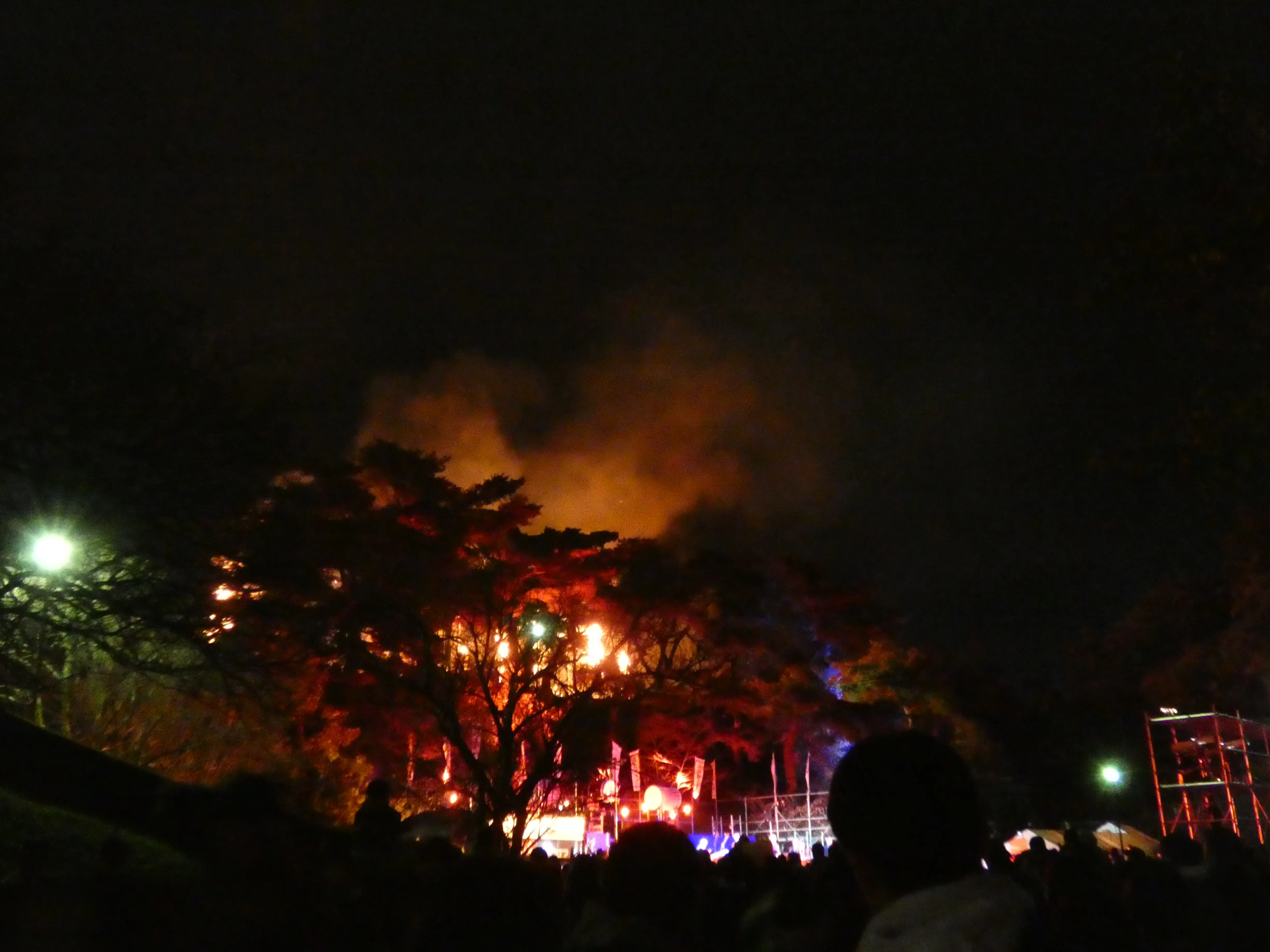 Burning tree