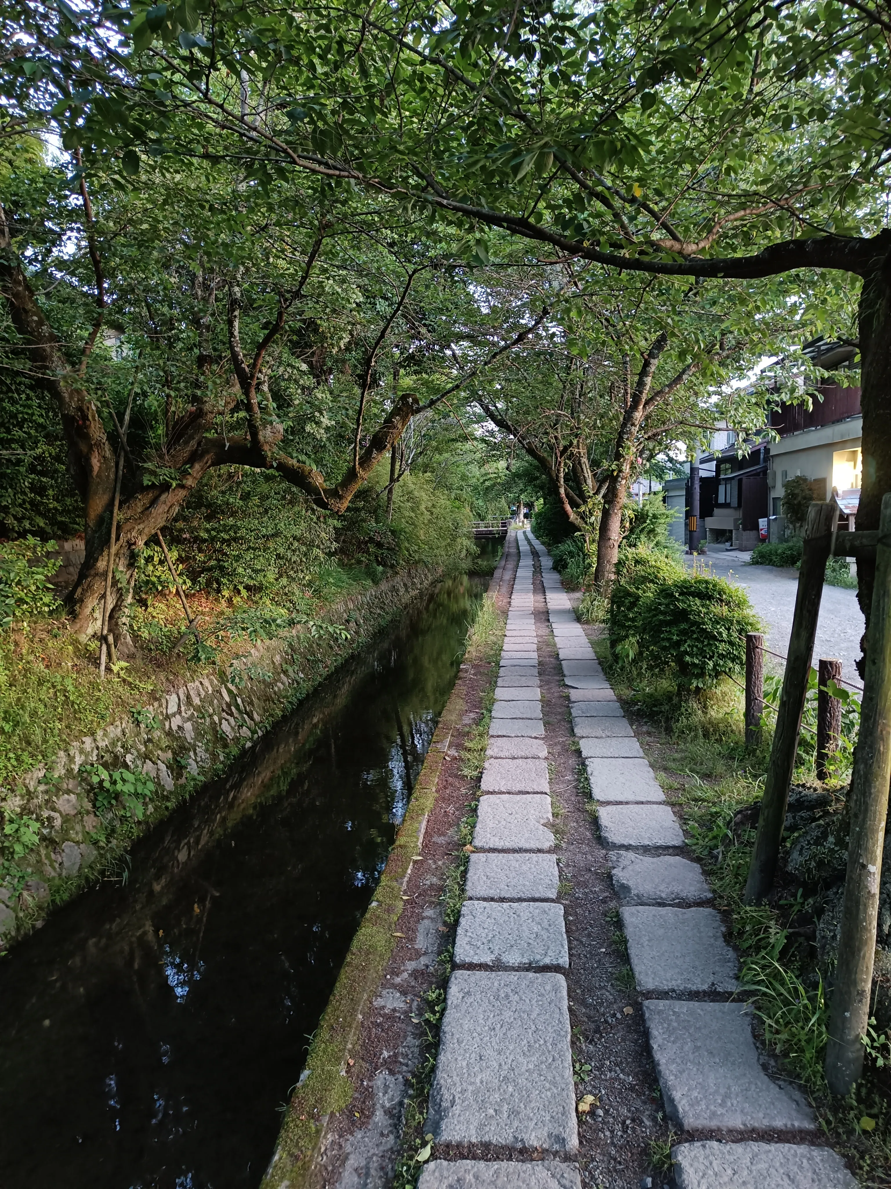 Way with canal