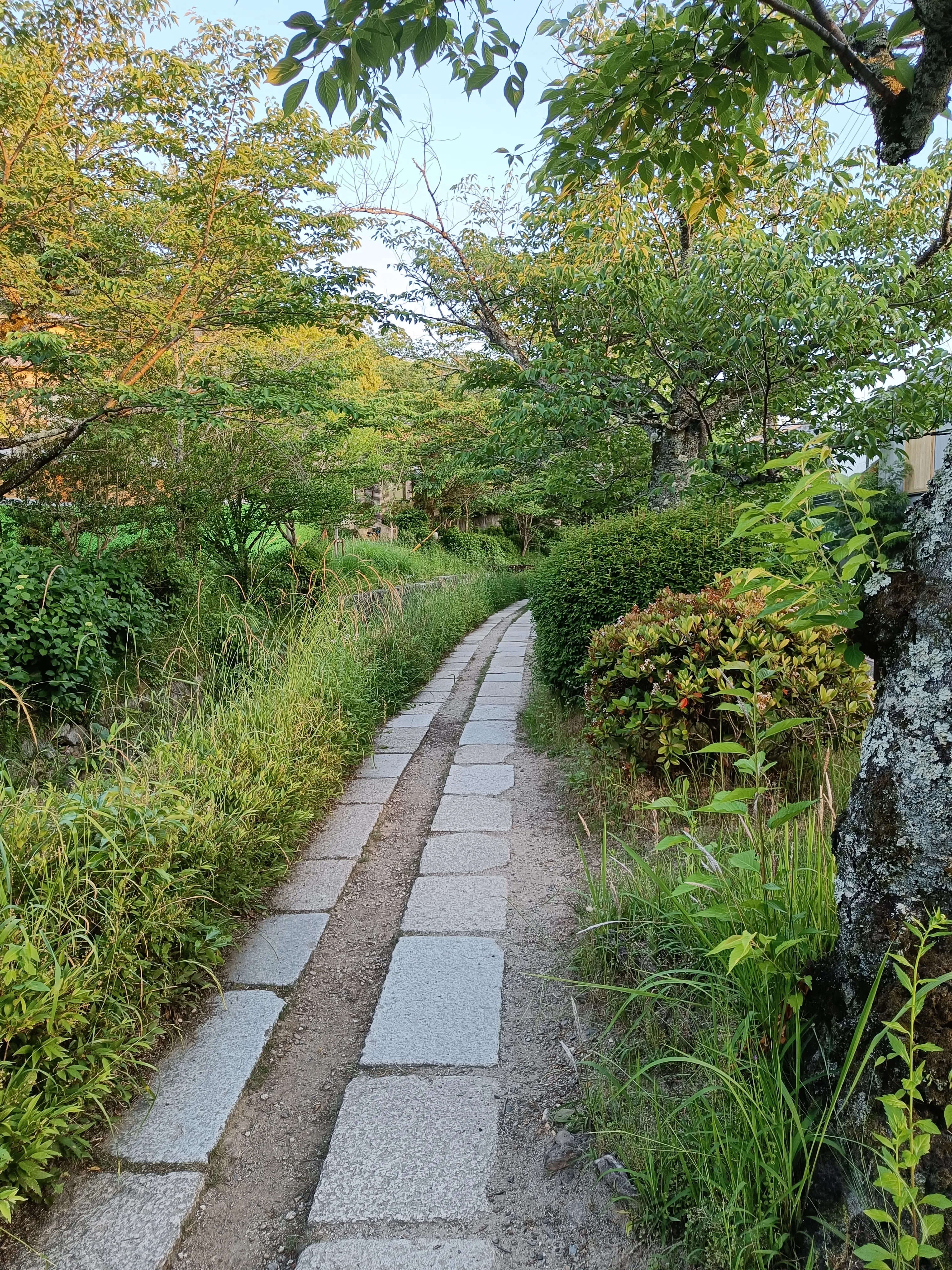 Way