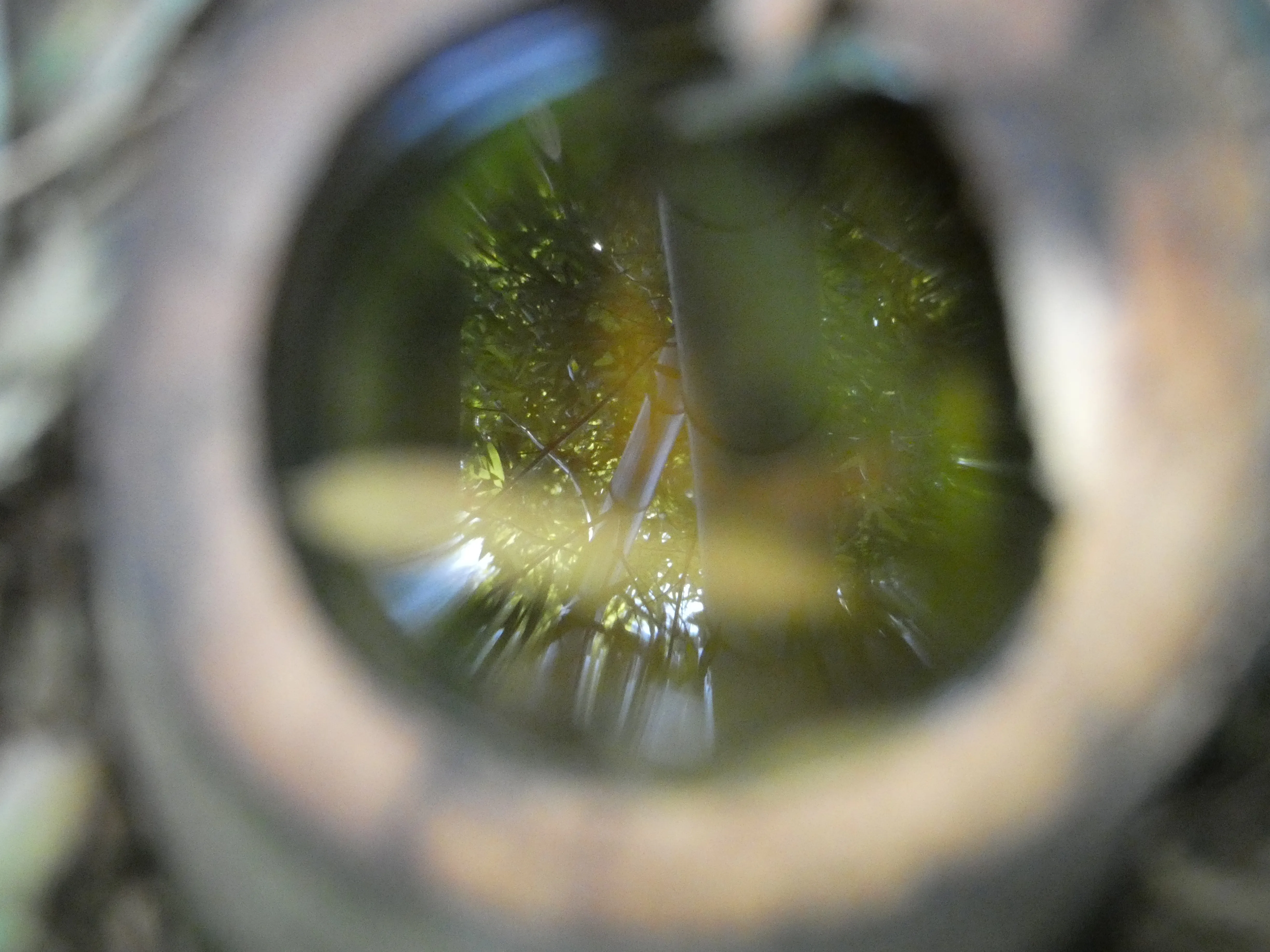 Cover Image of the Post