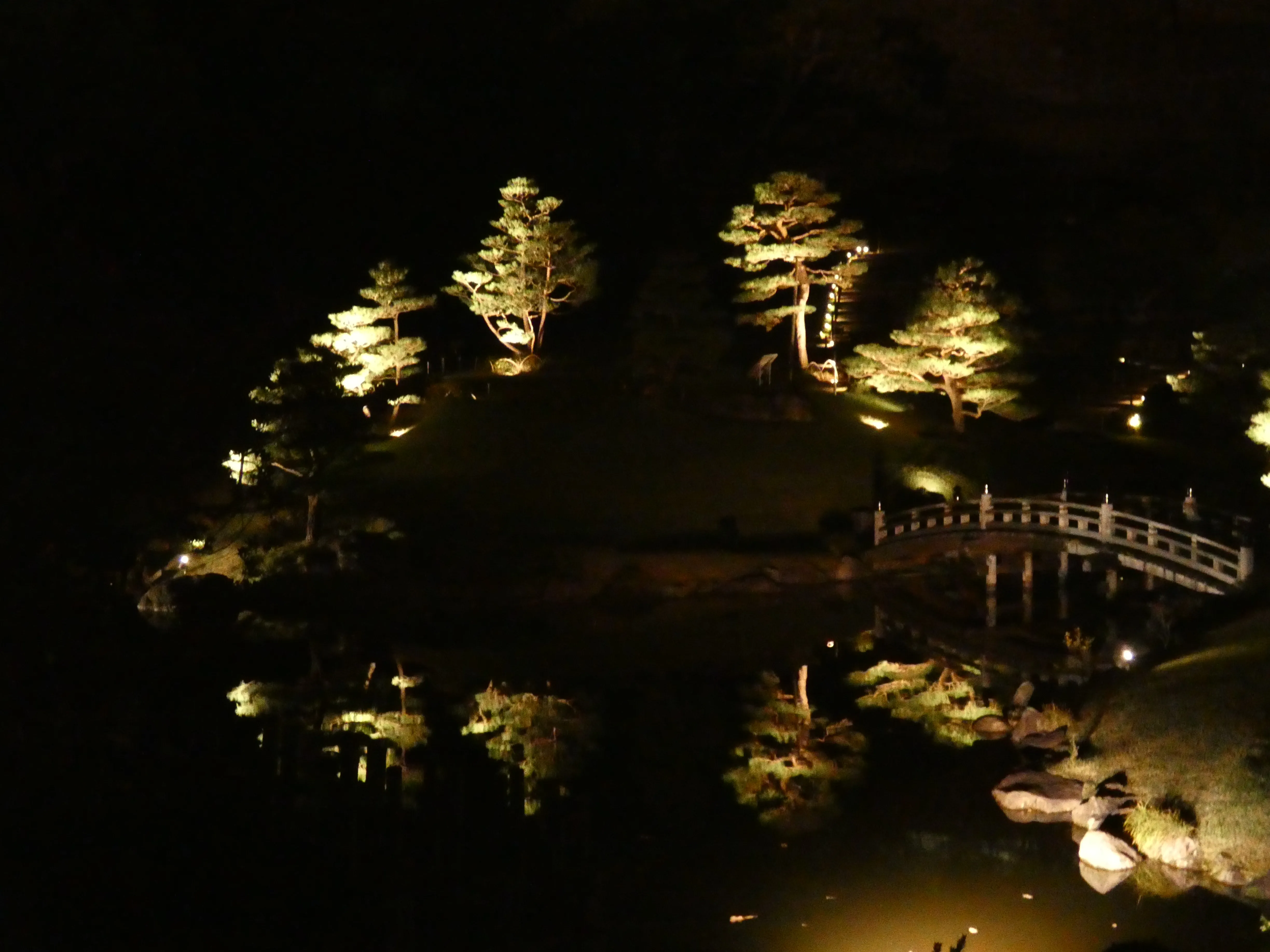 Bridge light-up