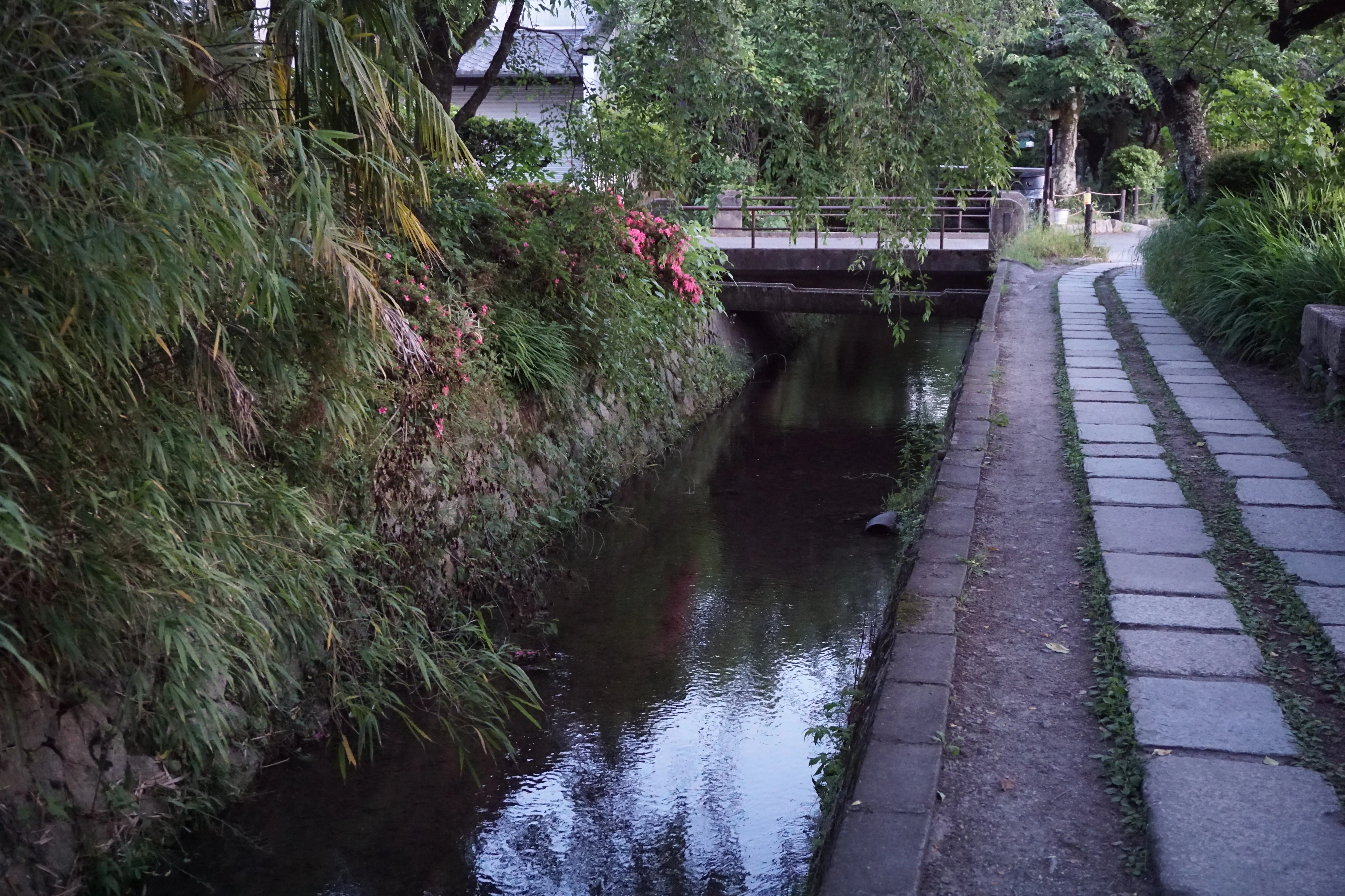 Cover Image of the Post