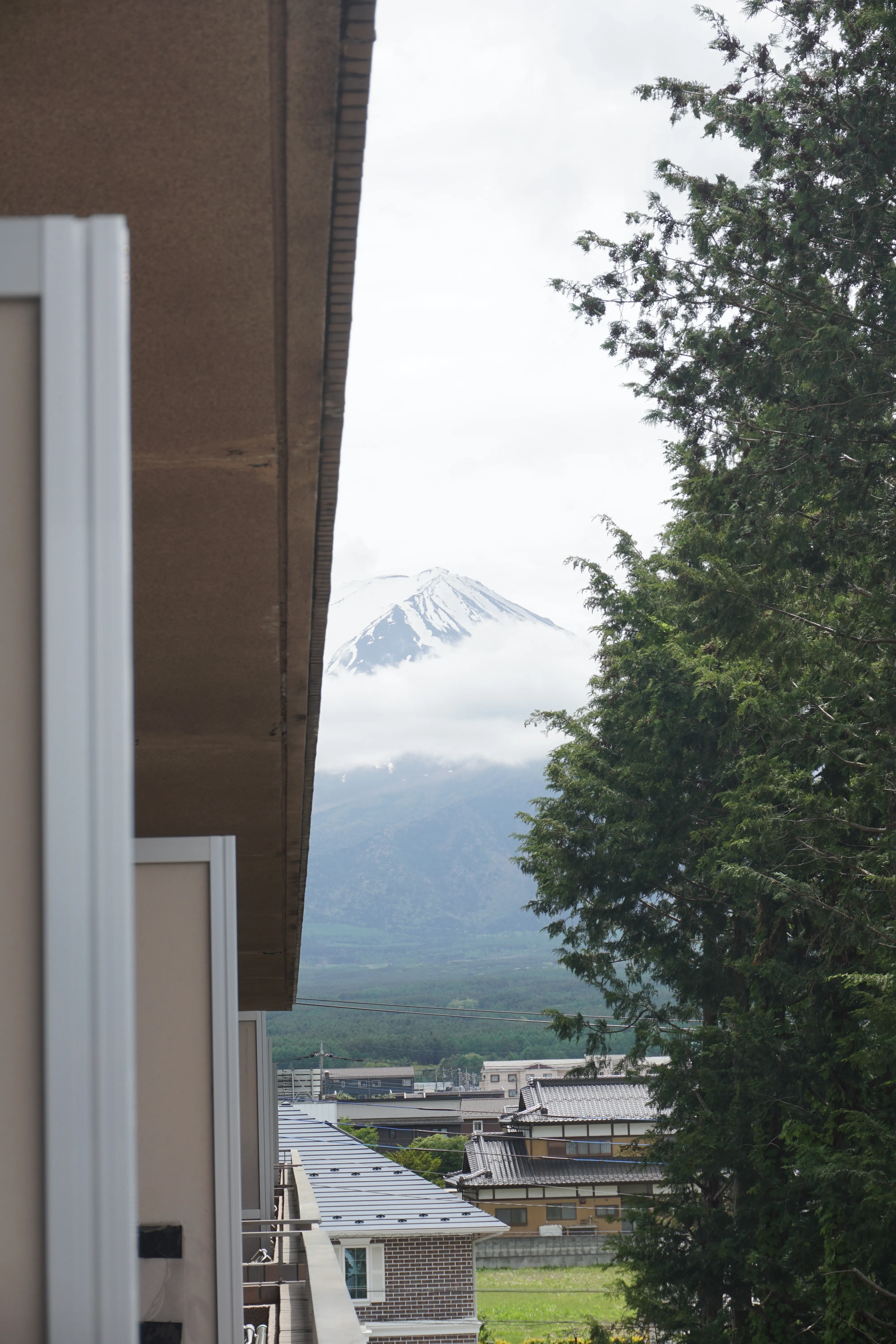 Fuji view from room