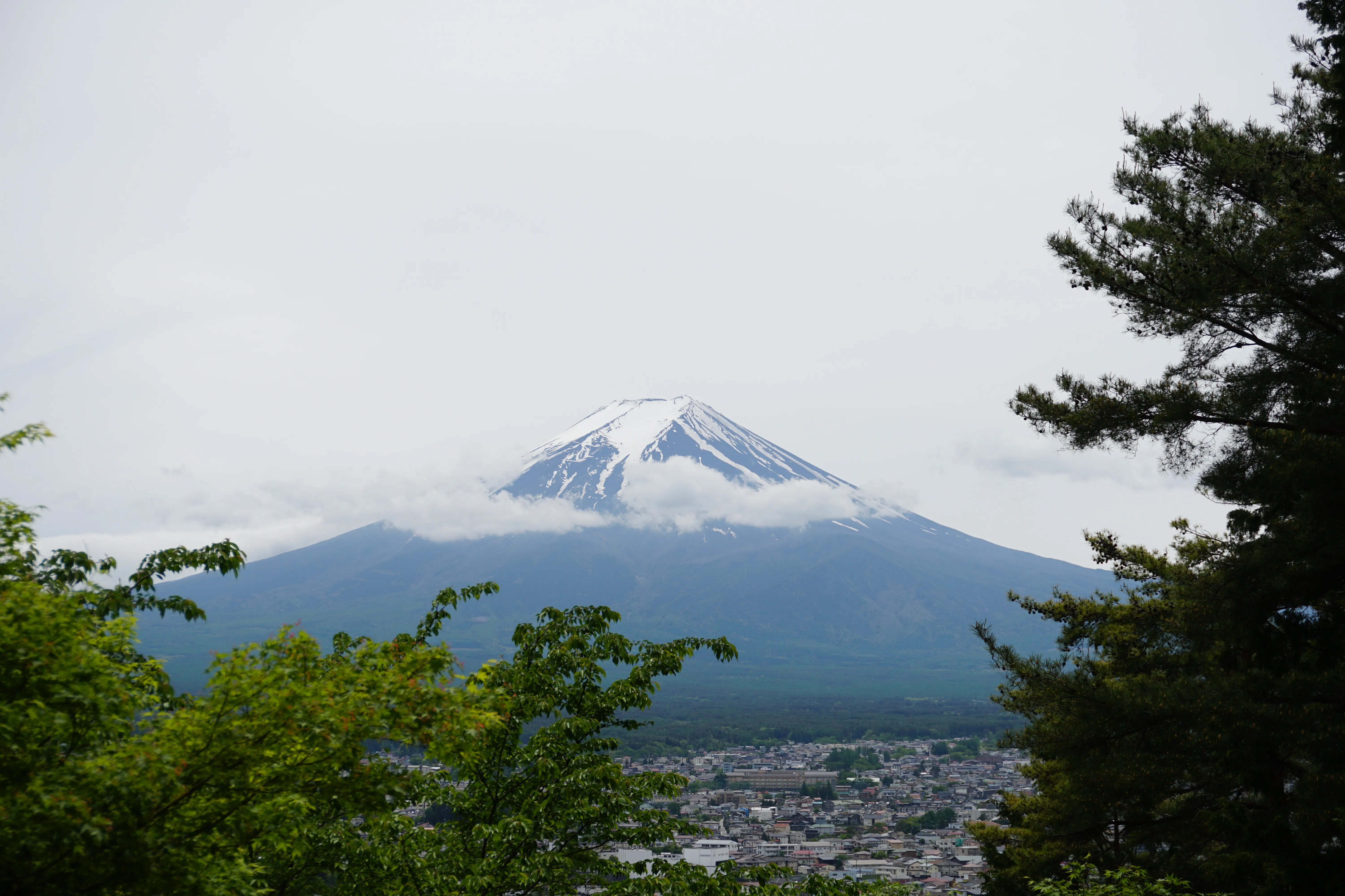 Cover Image of the Post