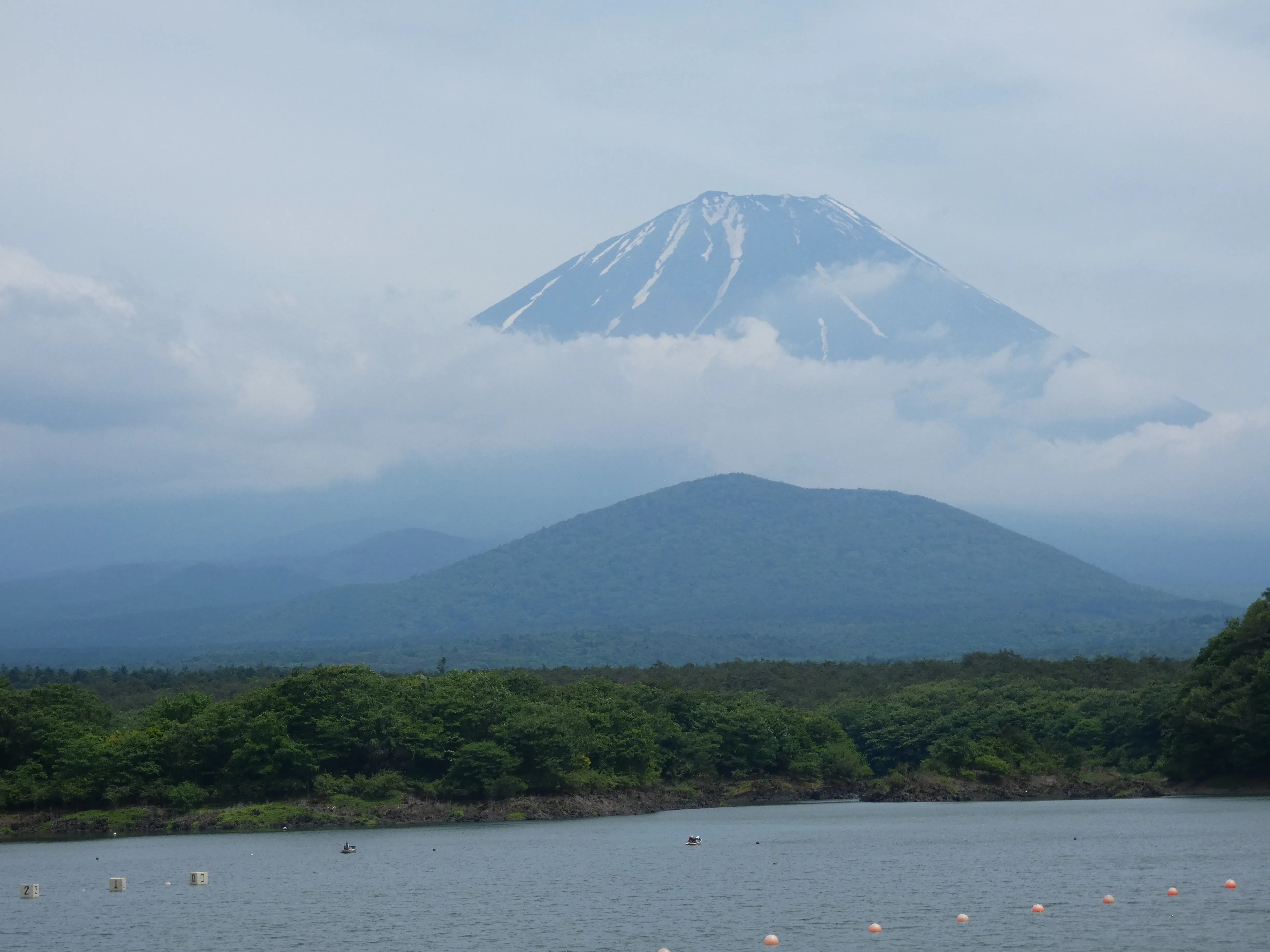 Cover Image of the Post