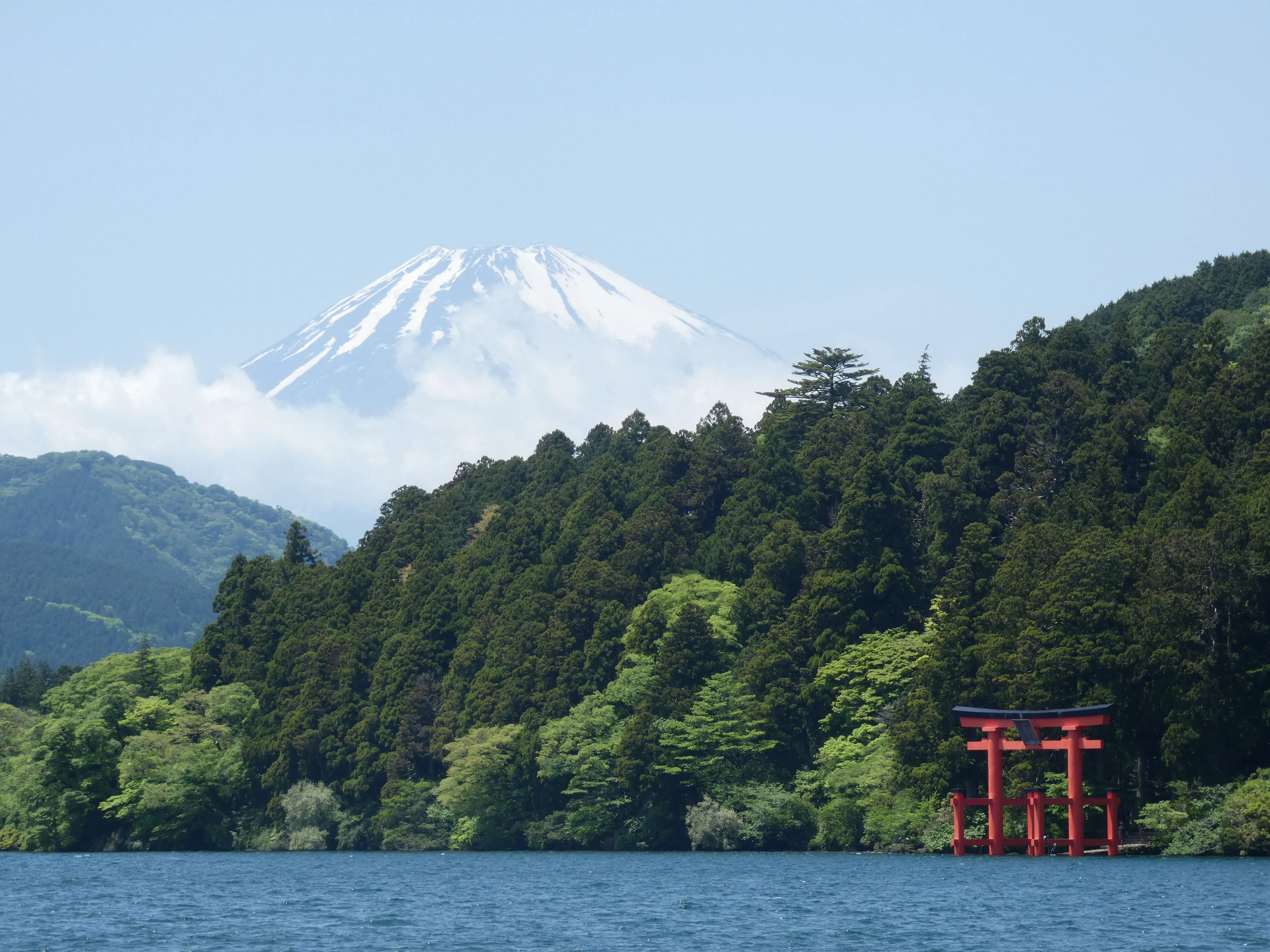 Cover Image of the Post