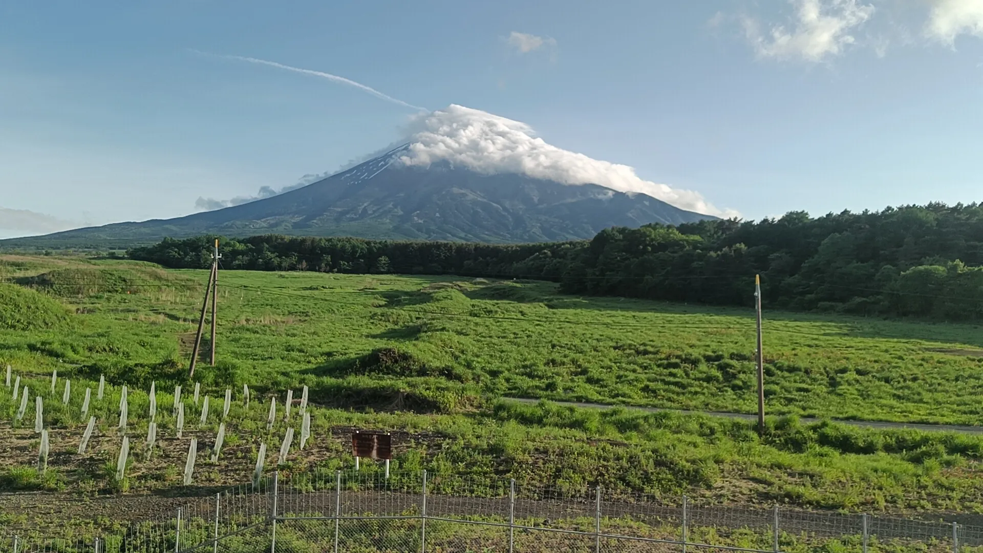 Cover Image of the Post