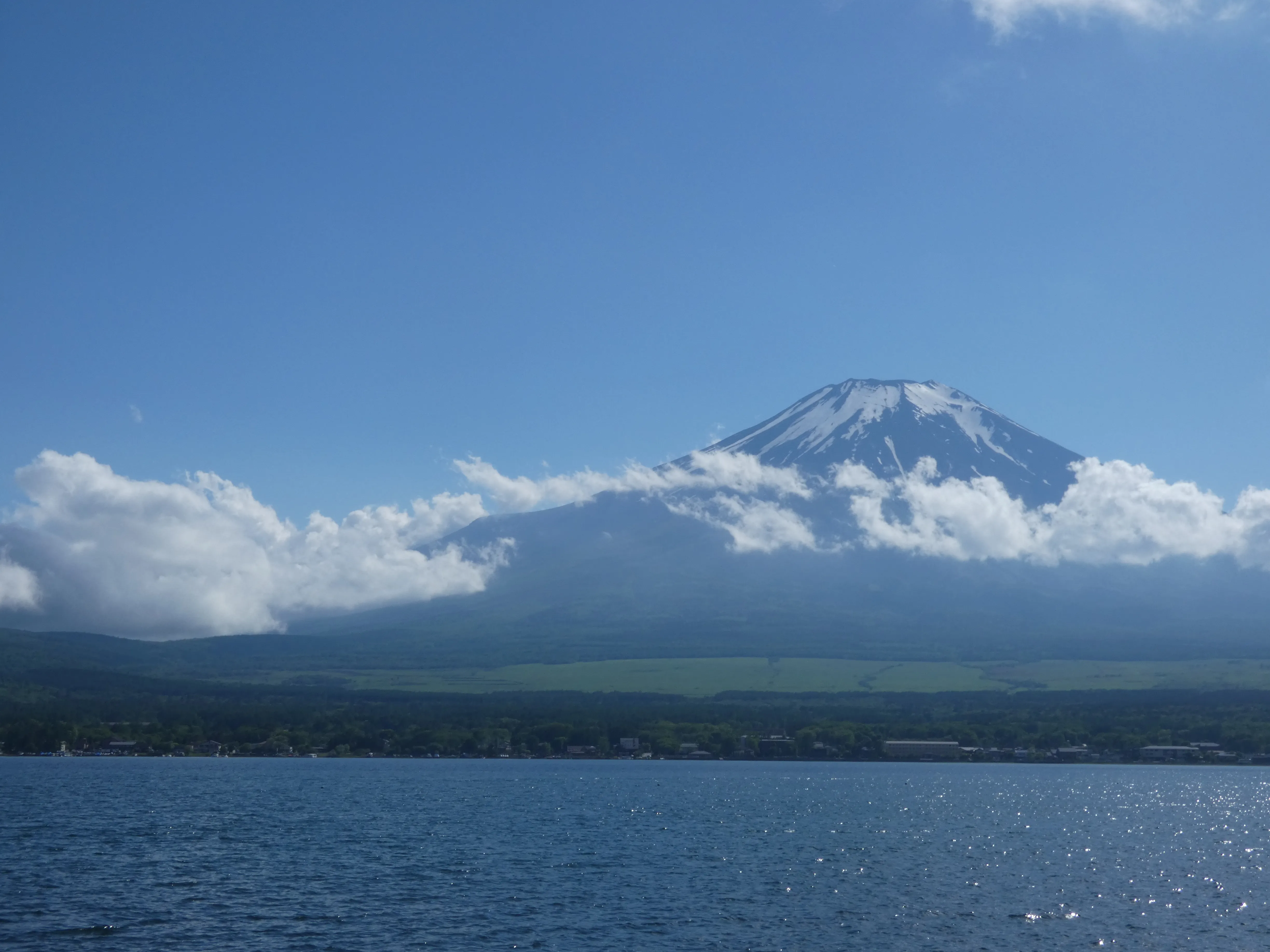 Cover Image of the Post