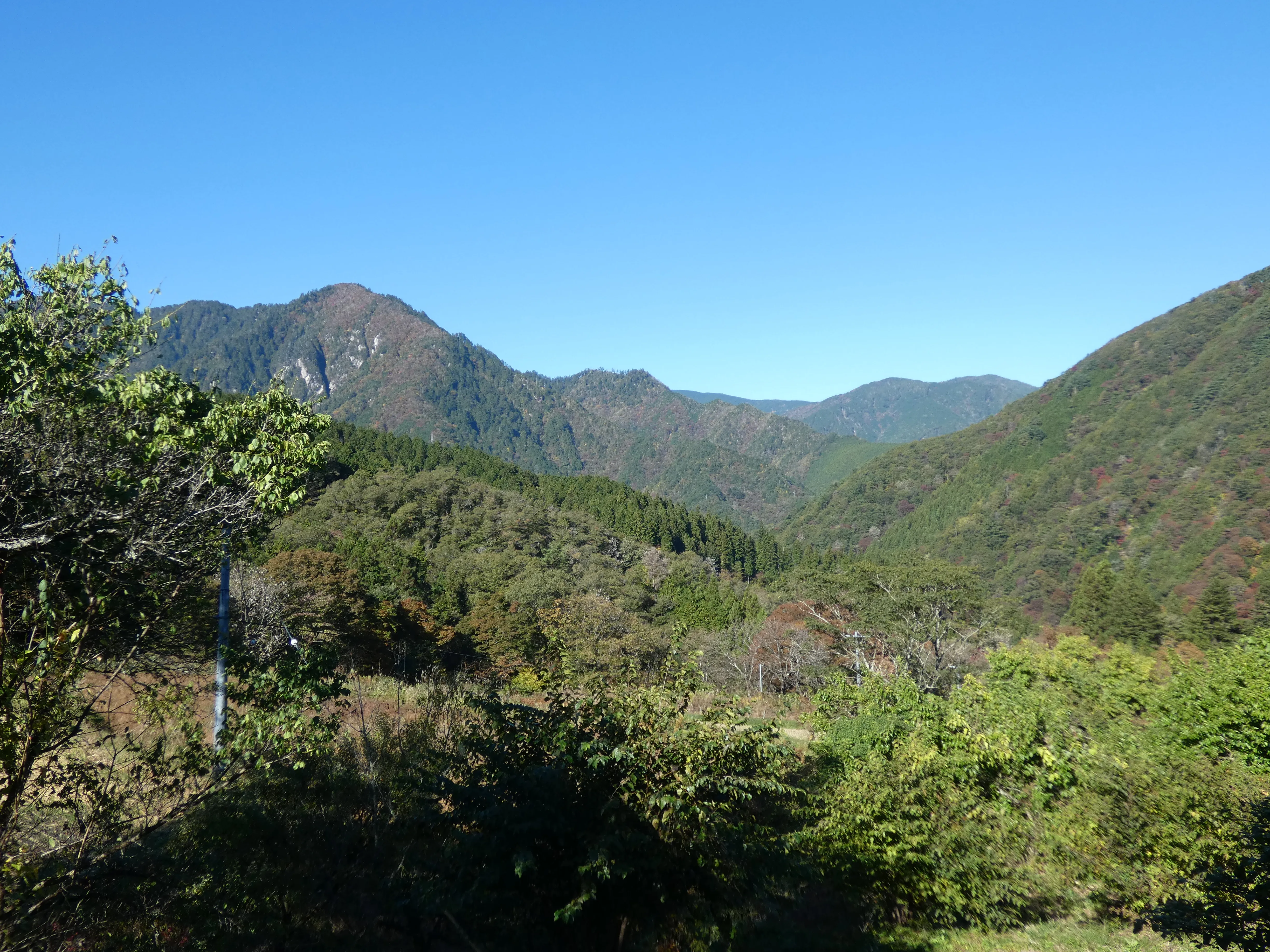 Cover Image of the Post