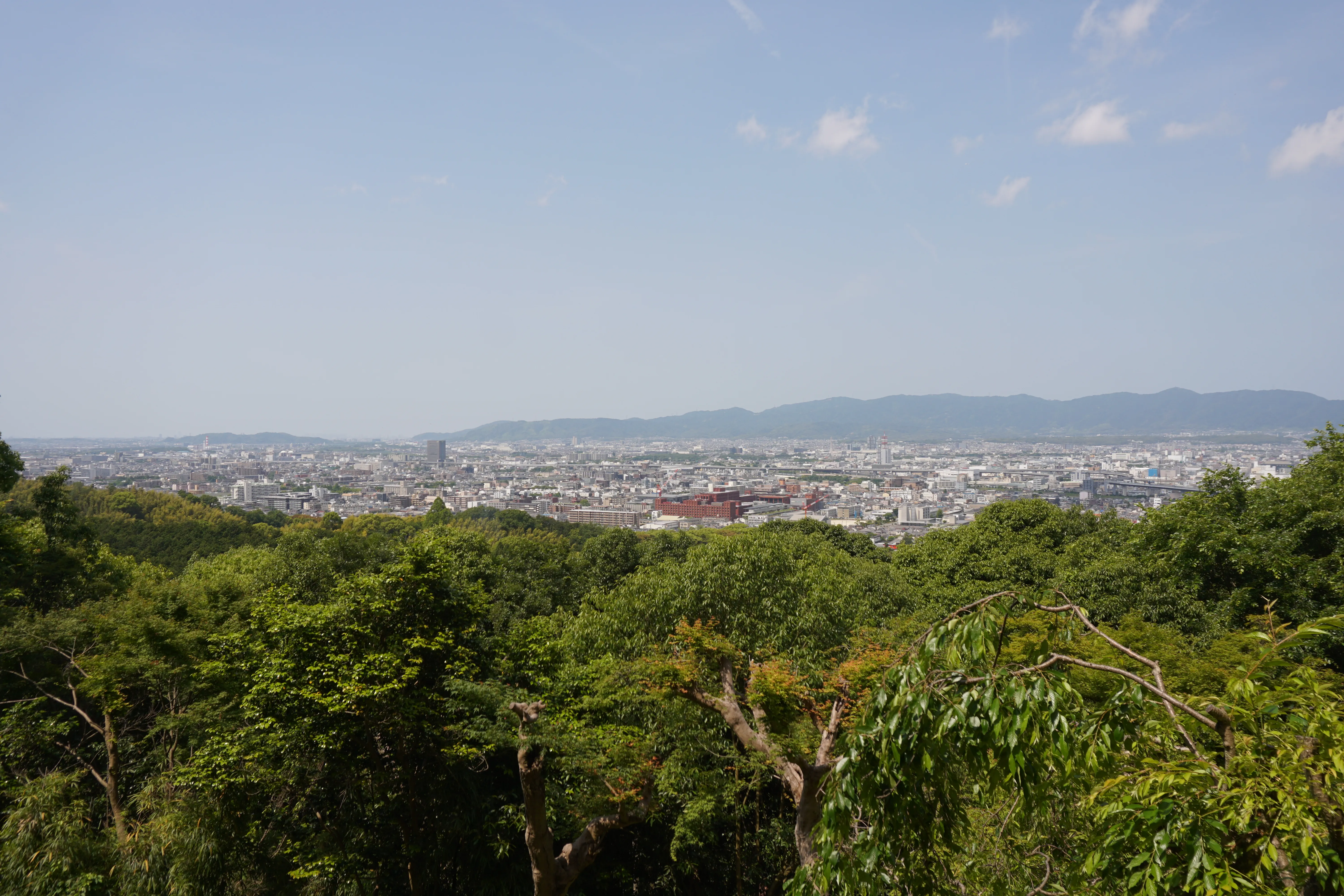 Cover Image of the Post