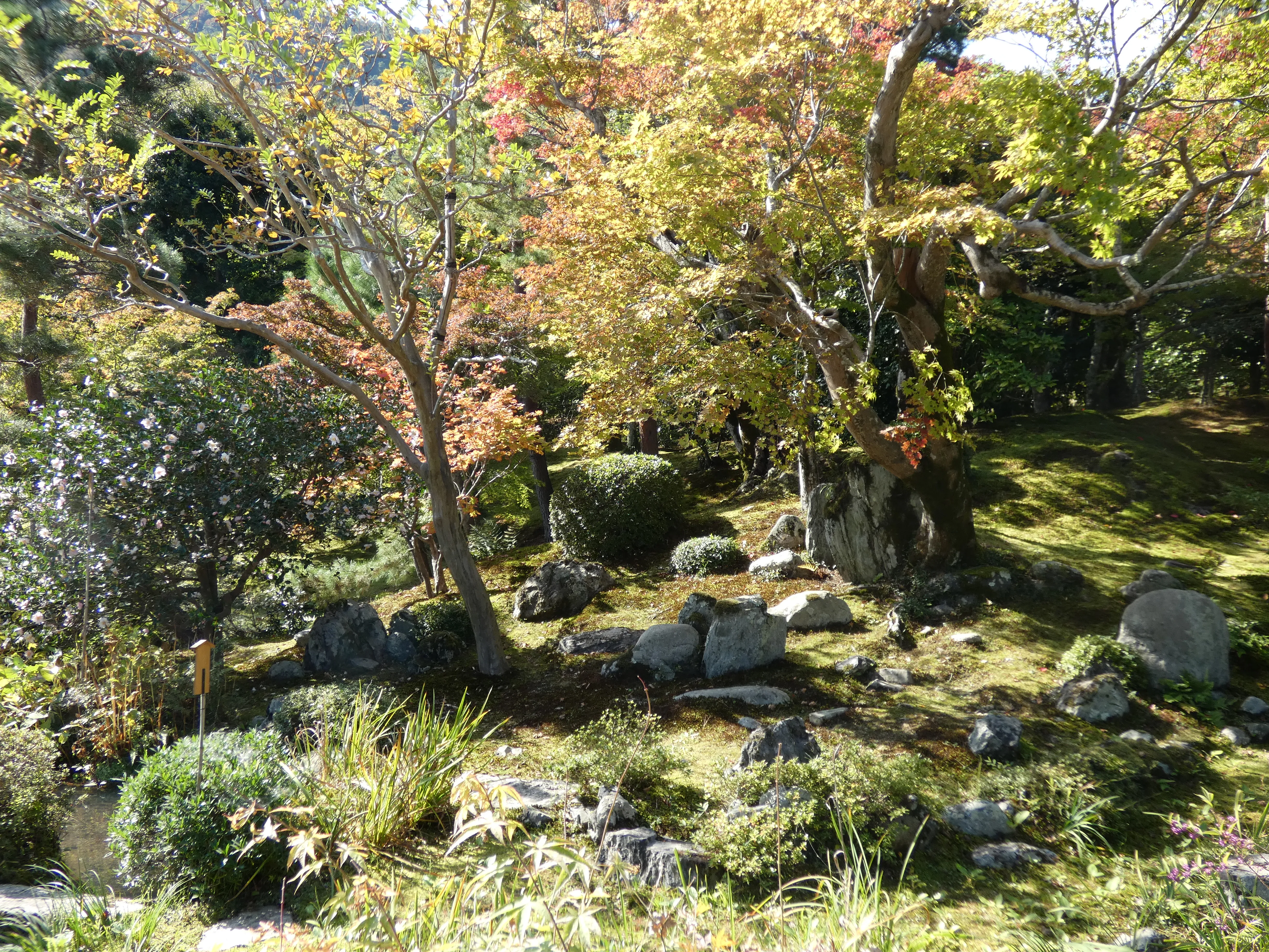 Another beautiful garden