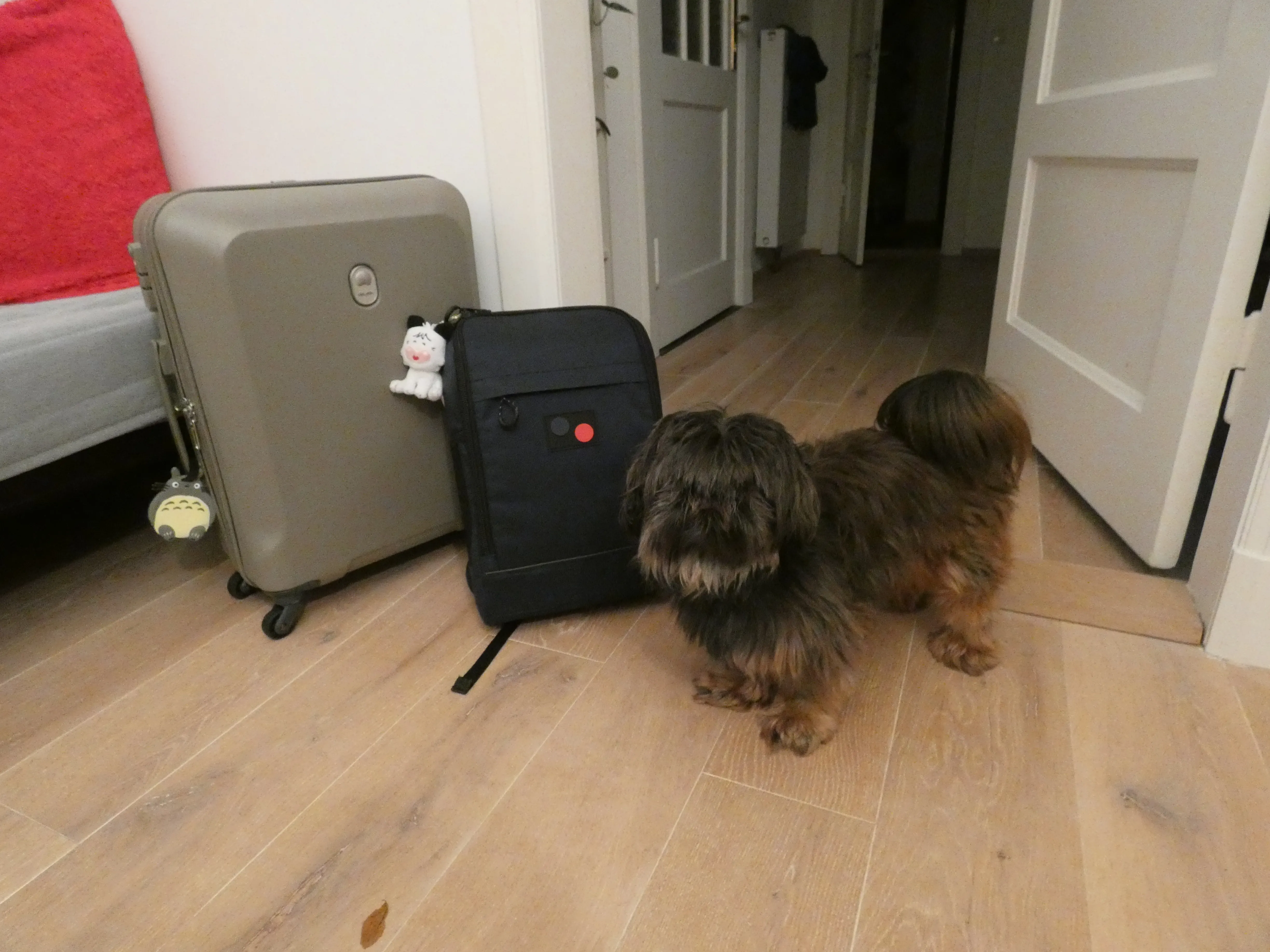 Cover Image of the Post