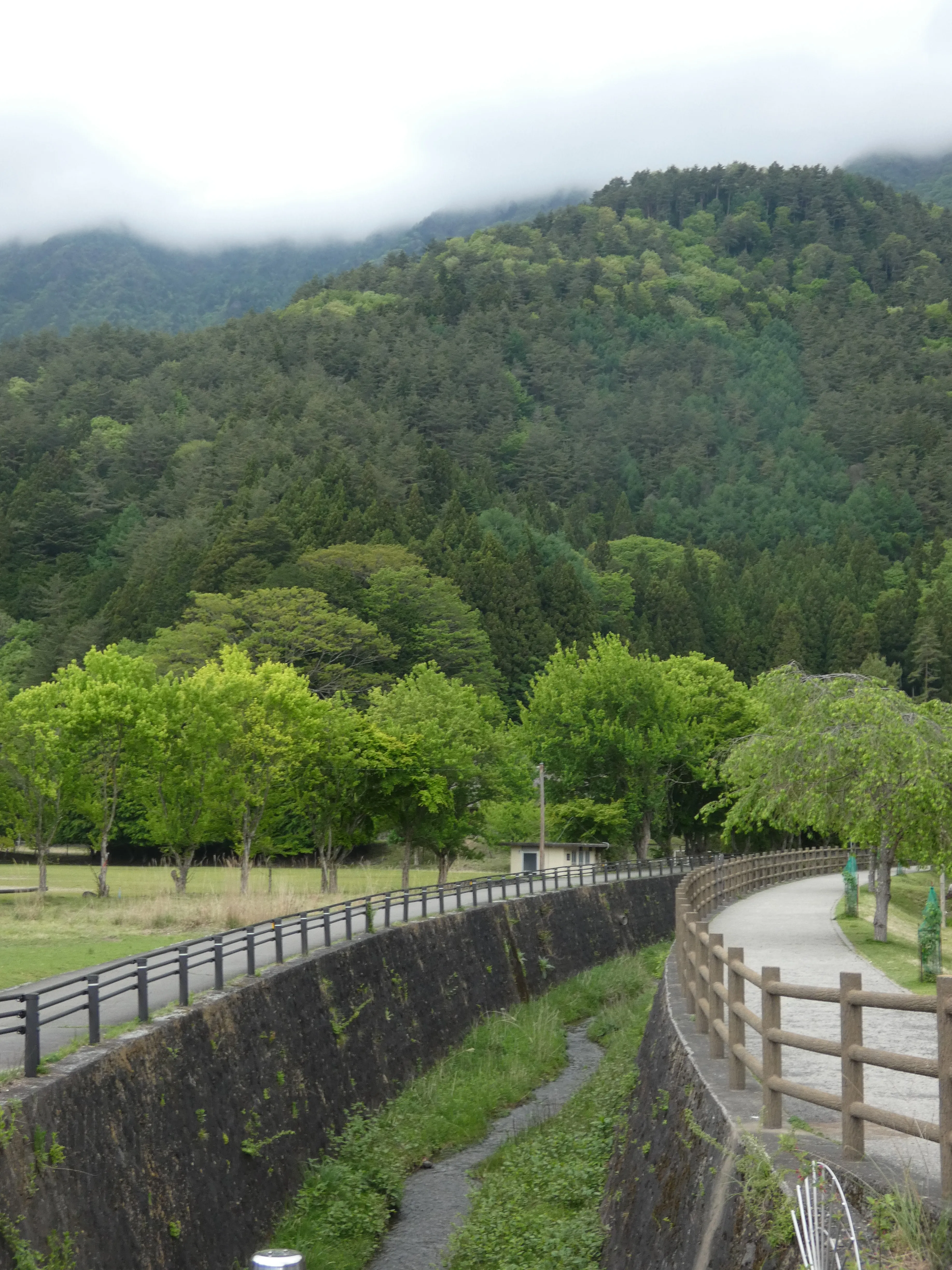 Nenba surrounded by beautiful greenery