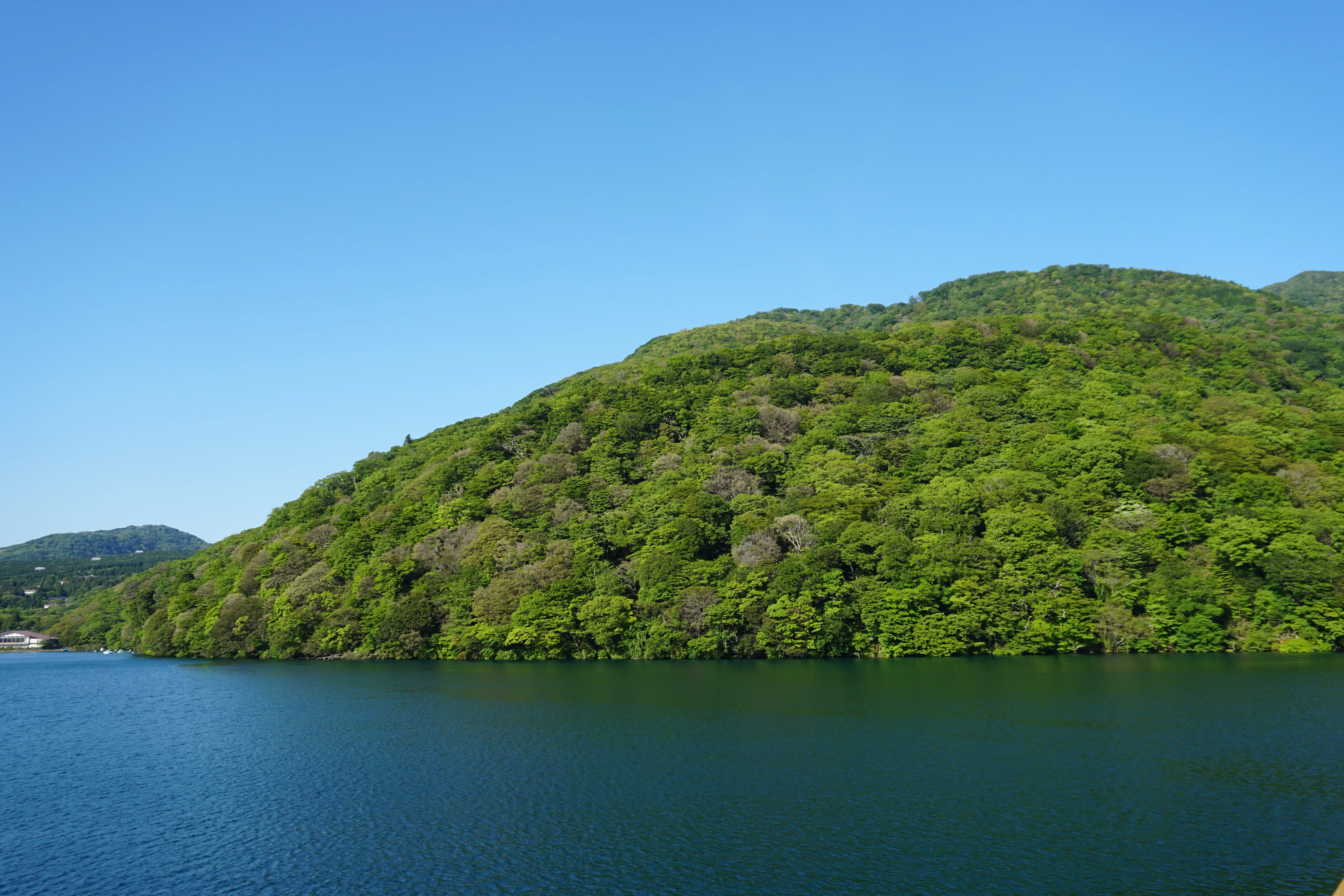 Shades of green
