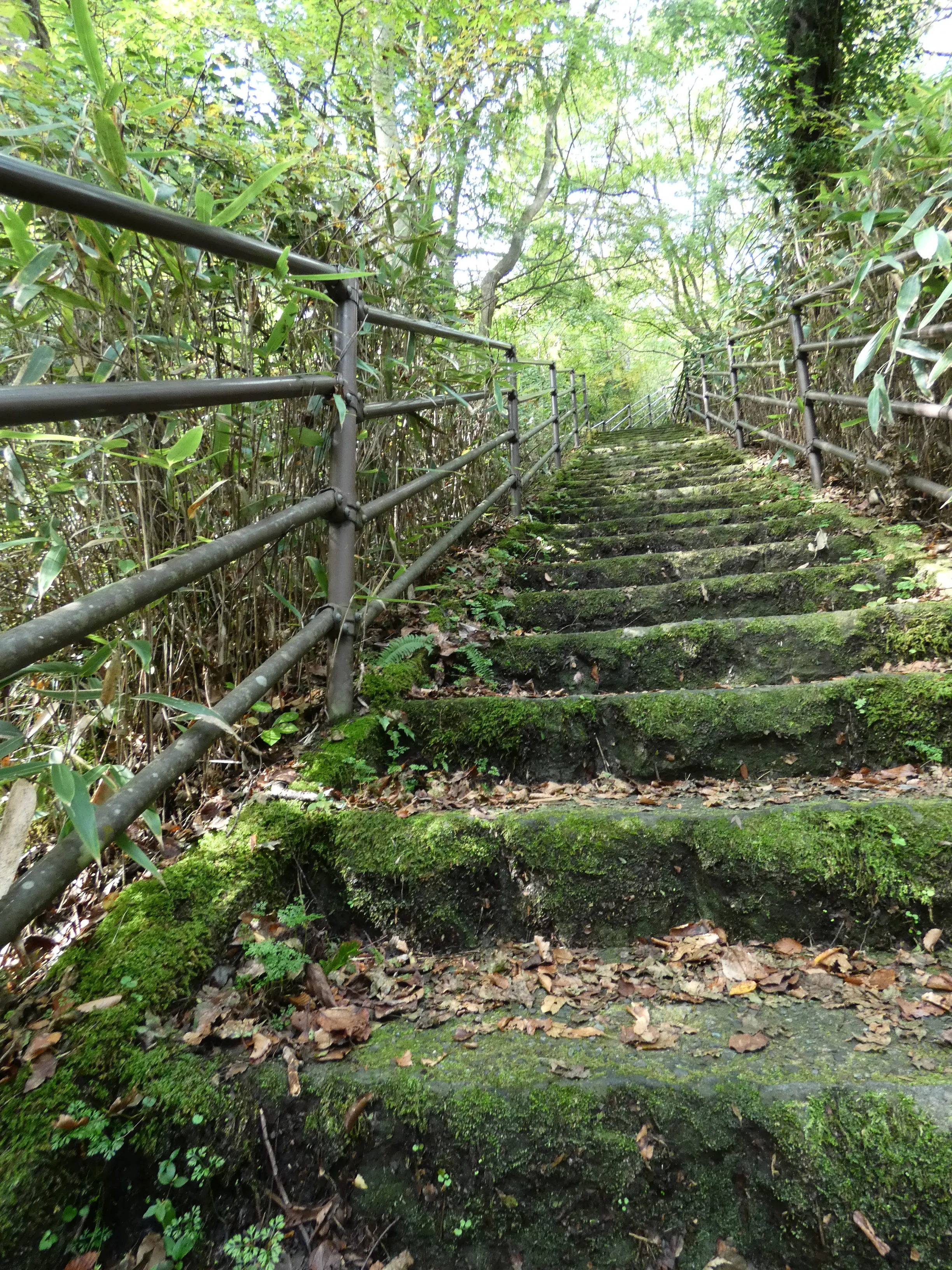 Many stairs on Tōkaidō road