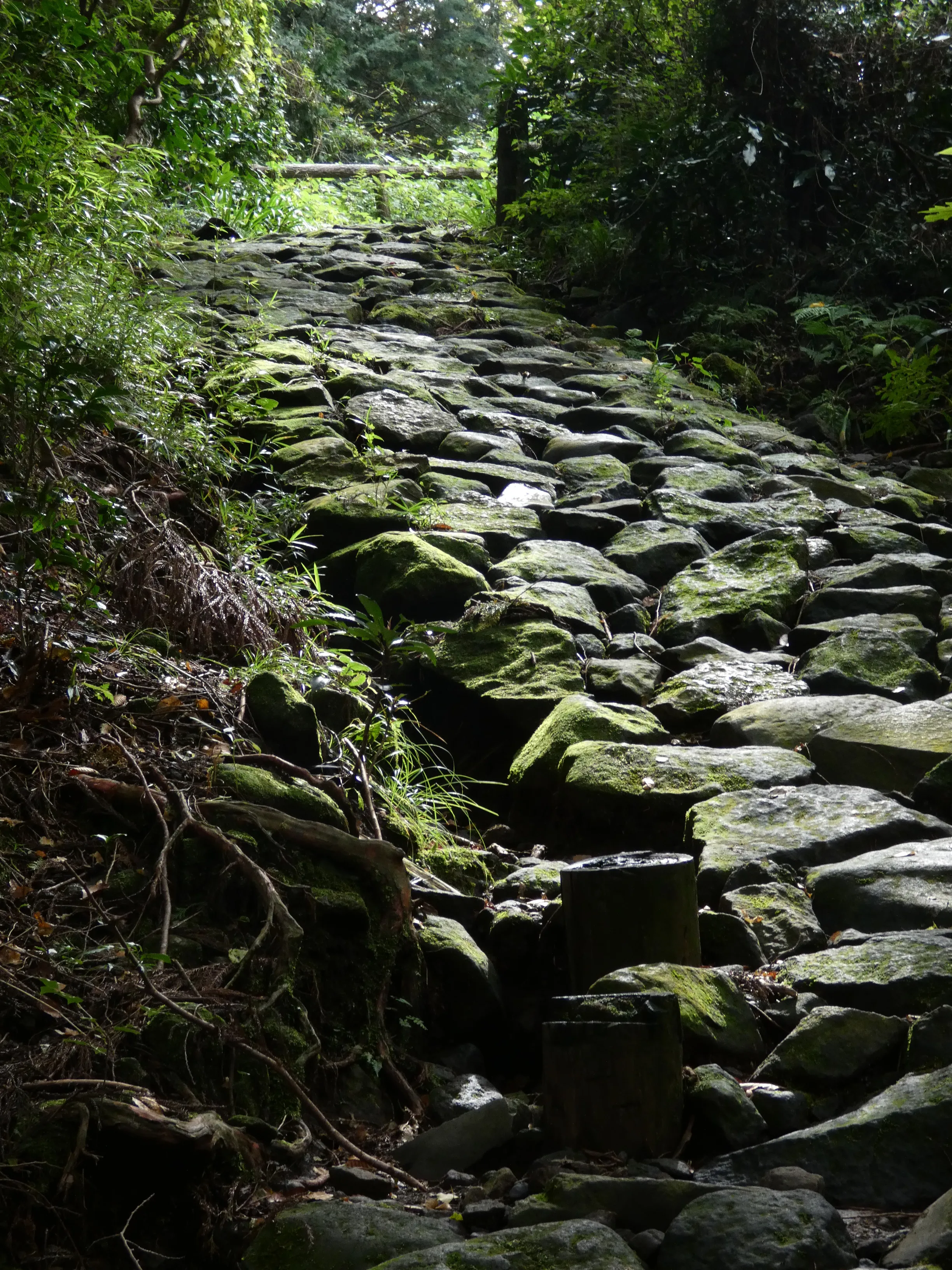 Tōkaidō road start
