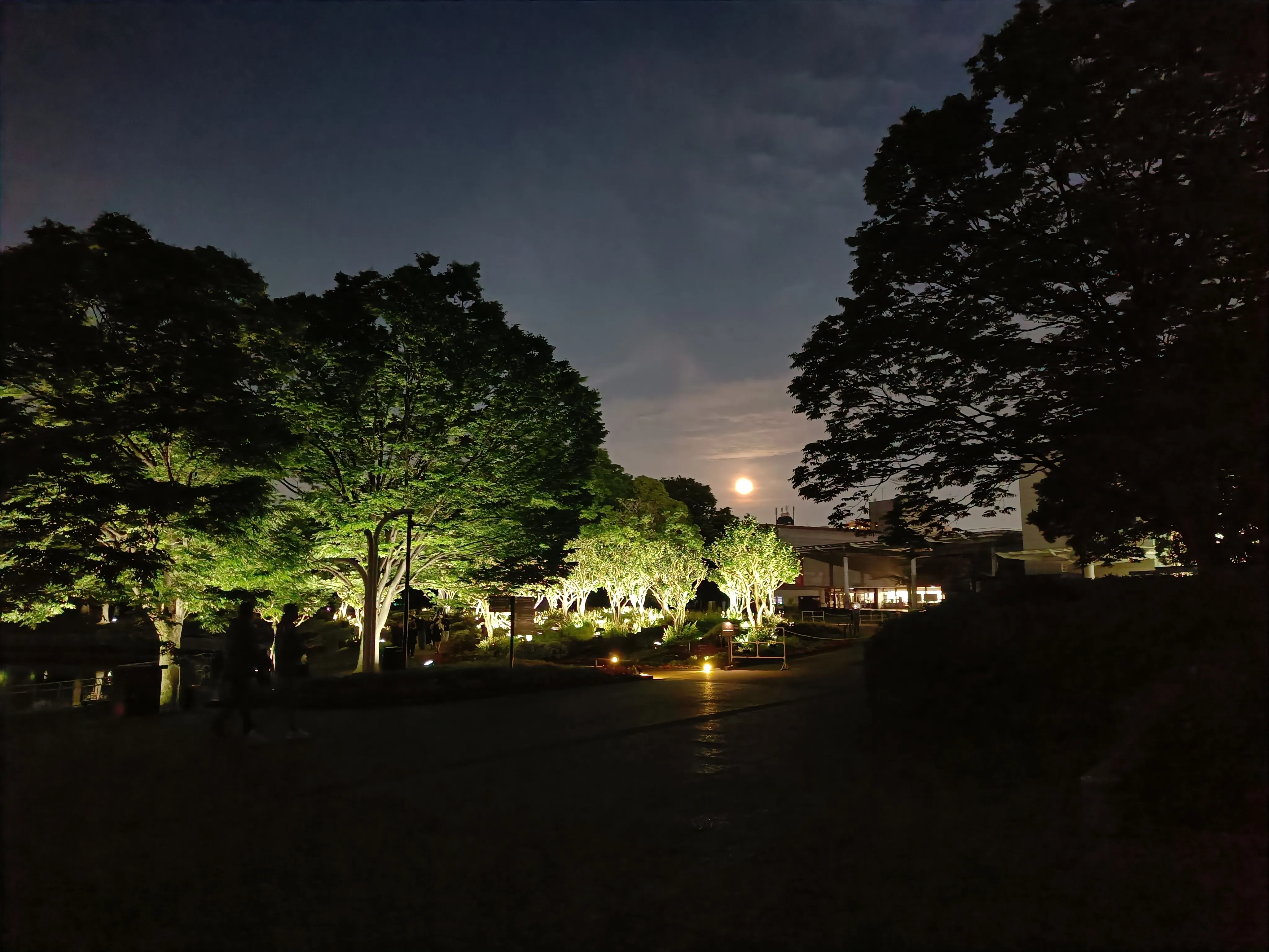 Cover Image of the Post