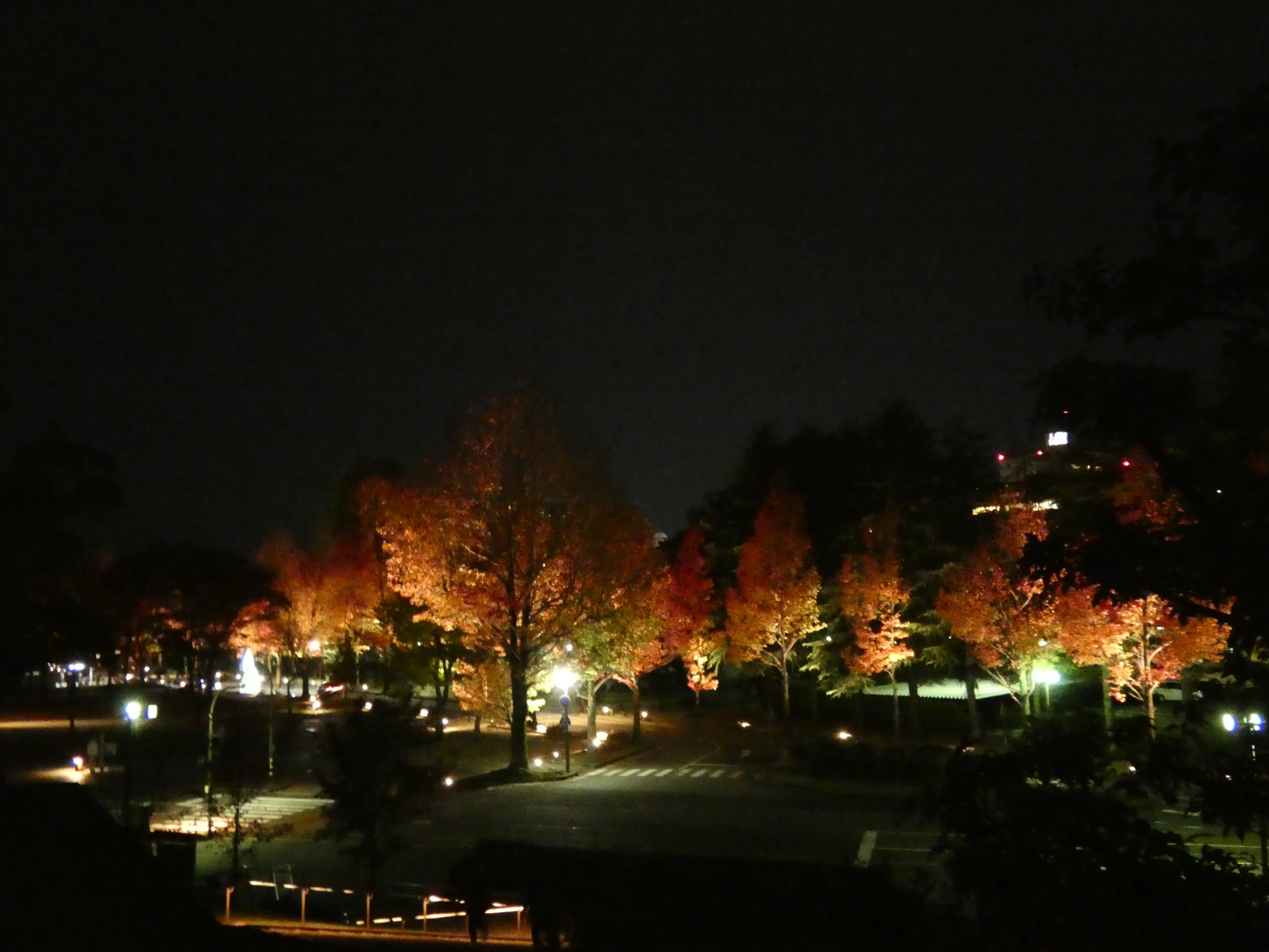 Gyokusen ‘inmaru garden