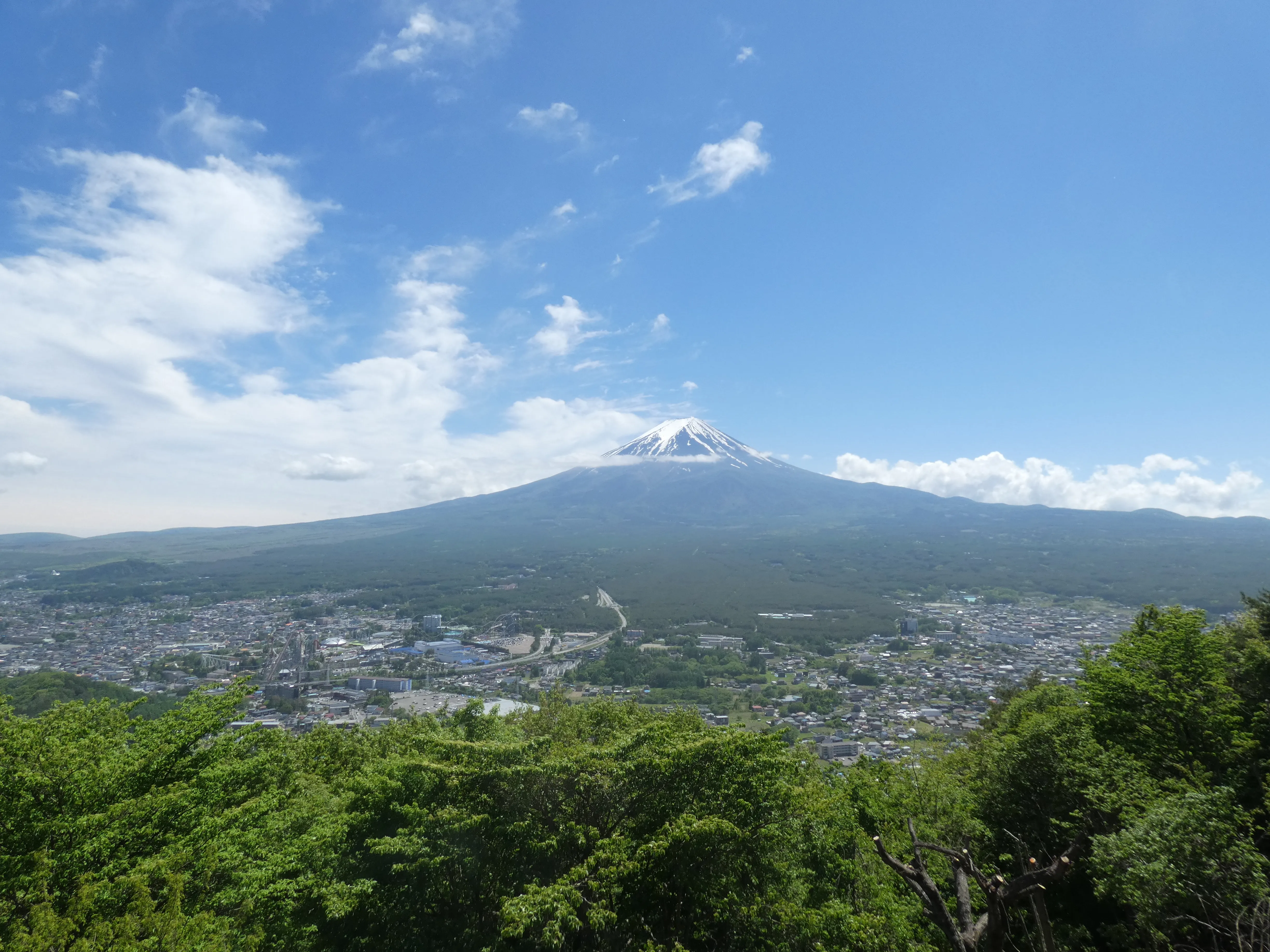 Cover Image of the Post